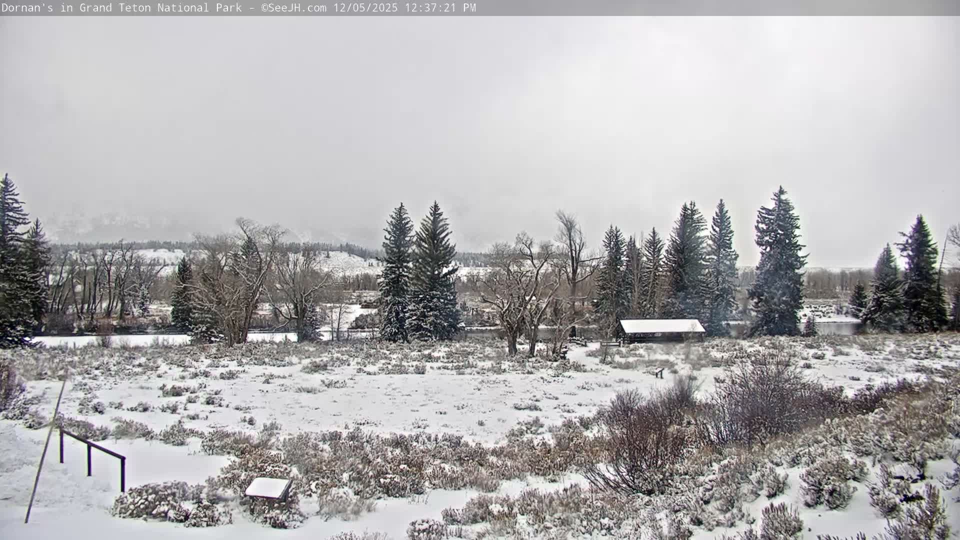 Grand Teton National Park  Live Cam - Moose, Teton, Wyoming, USA