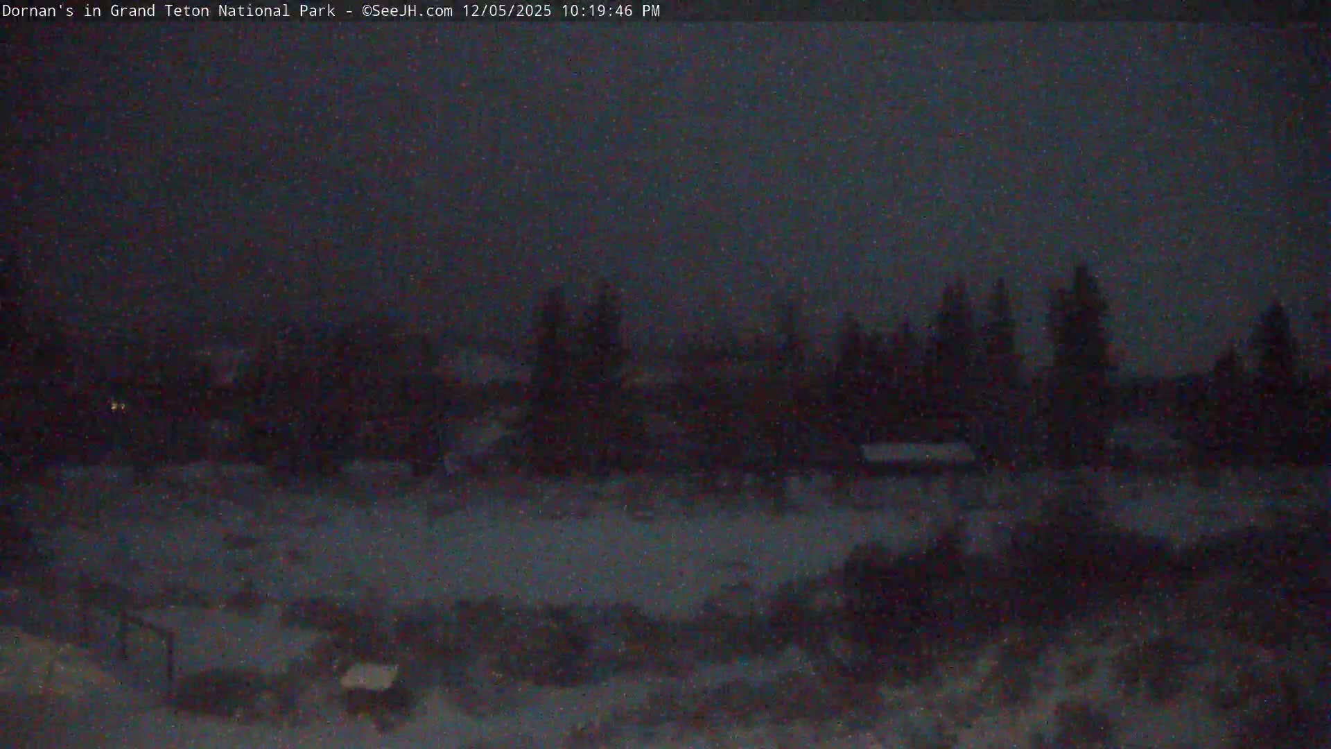 Grand Teton National Park  Live Cam - Moose, Teton, Wyoming, USA