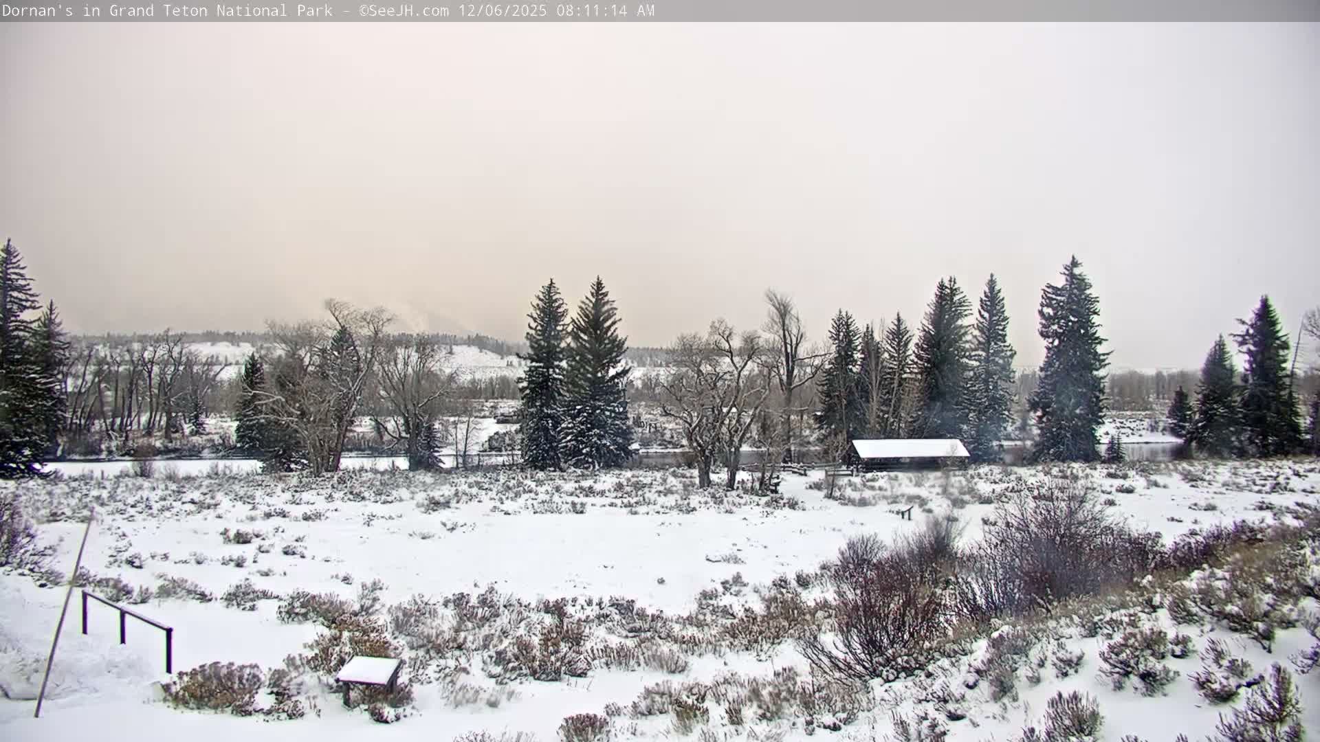 Grand Teton National Park  Live Cam - Moose, Teton, Wyoming, USA