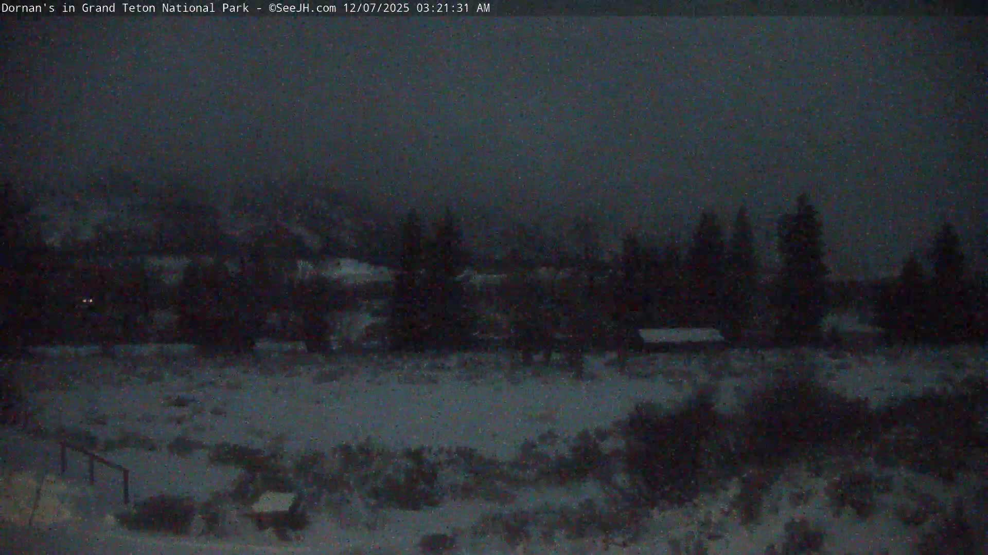 Grand Teton National Park  Live Cam - Moose, Teton, Wyoming, USA