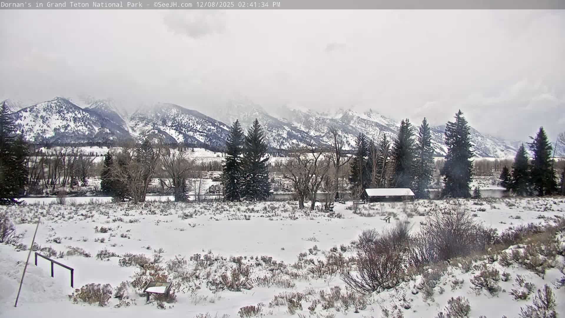 Grand Teton National Park  Live Cam - Moose, Teton, Wyoming, USA