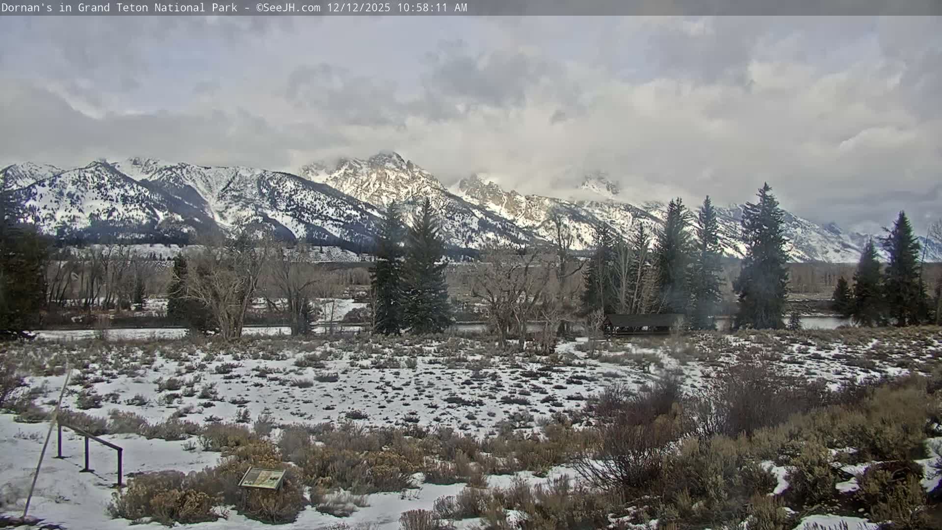 Grand Teton National Park  Live Cam - Moose, Teton, Wyoming, USA