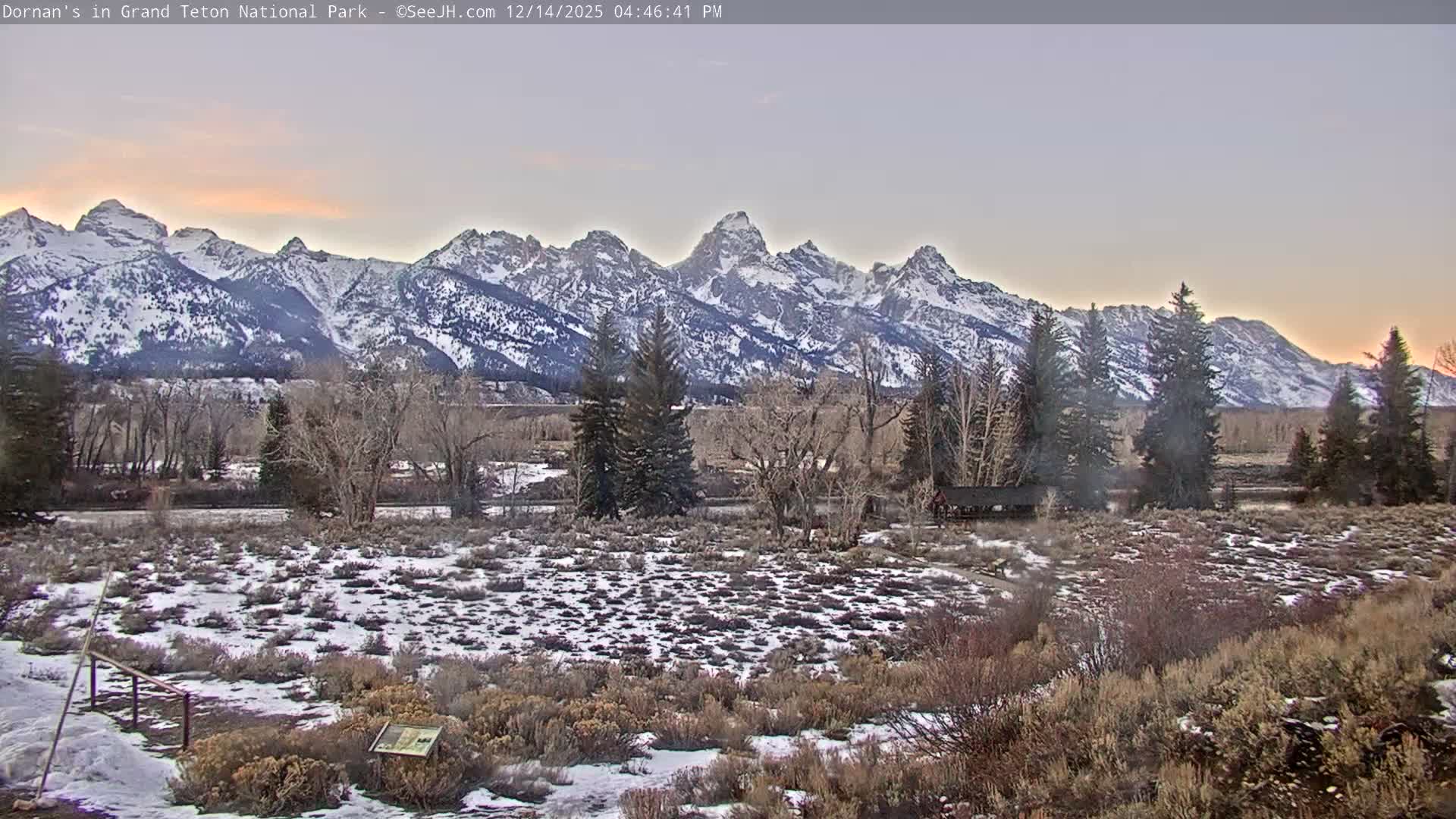 Grand Teton National Park  Live Cam - Moose, Teton, Wyoming, USA