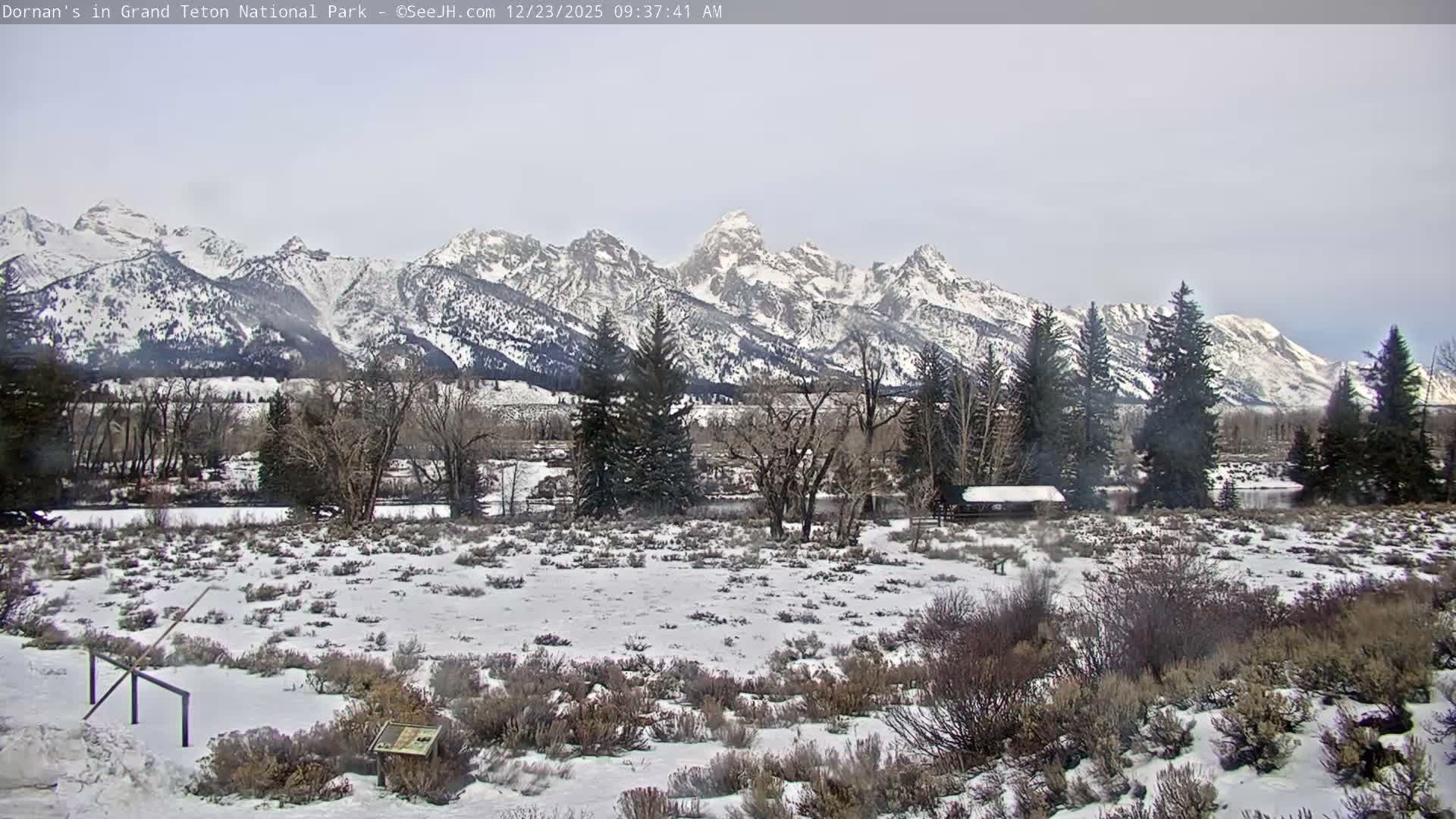 Grand Teton National Park  Live Cam - Moose, Teton, Wyoming, USA