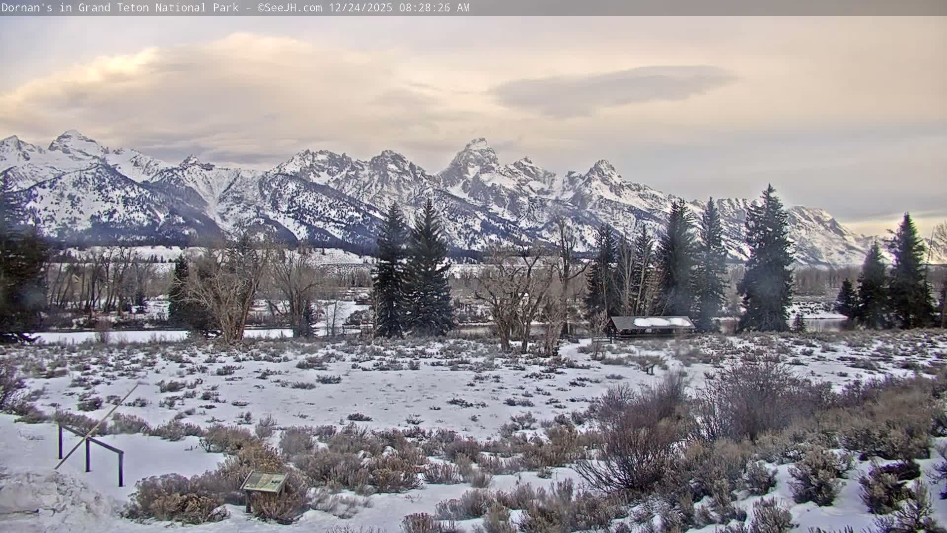 Grand Teton National Park  Live Cam - Moose, Teton, Wyoming, USA