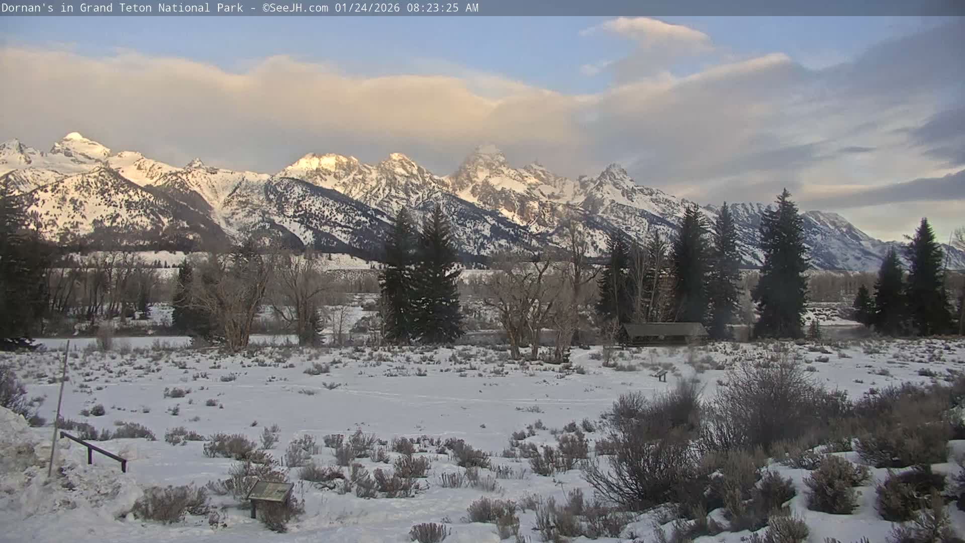Grand Teton National Park  Live Cam - Moose, Teton, Wyoming, USA
