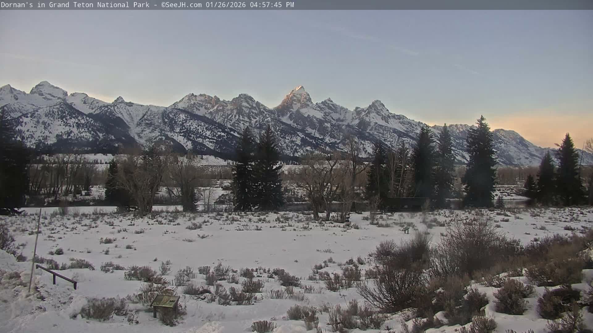 Grand Teton National Park  Live Cam - Moose, Teton, Wyoming, USA