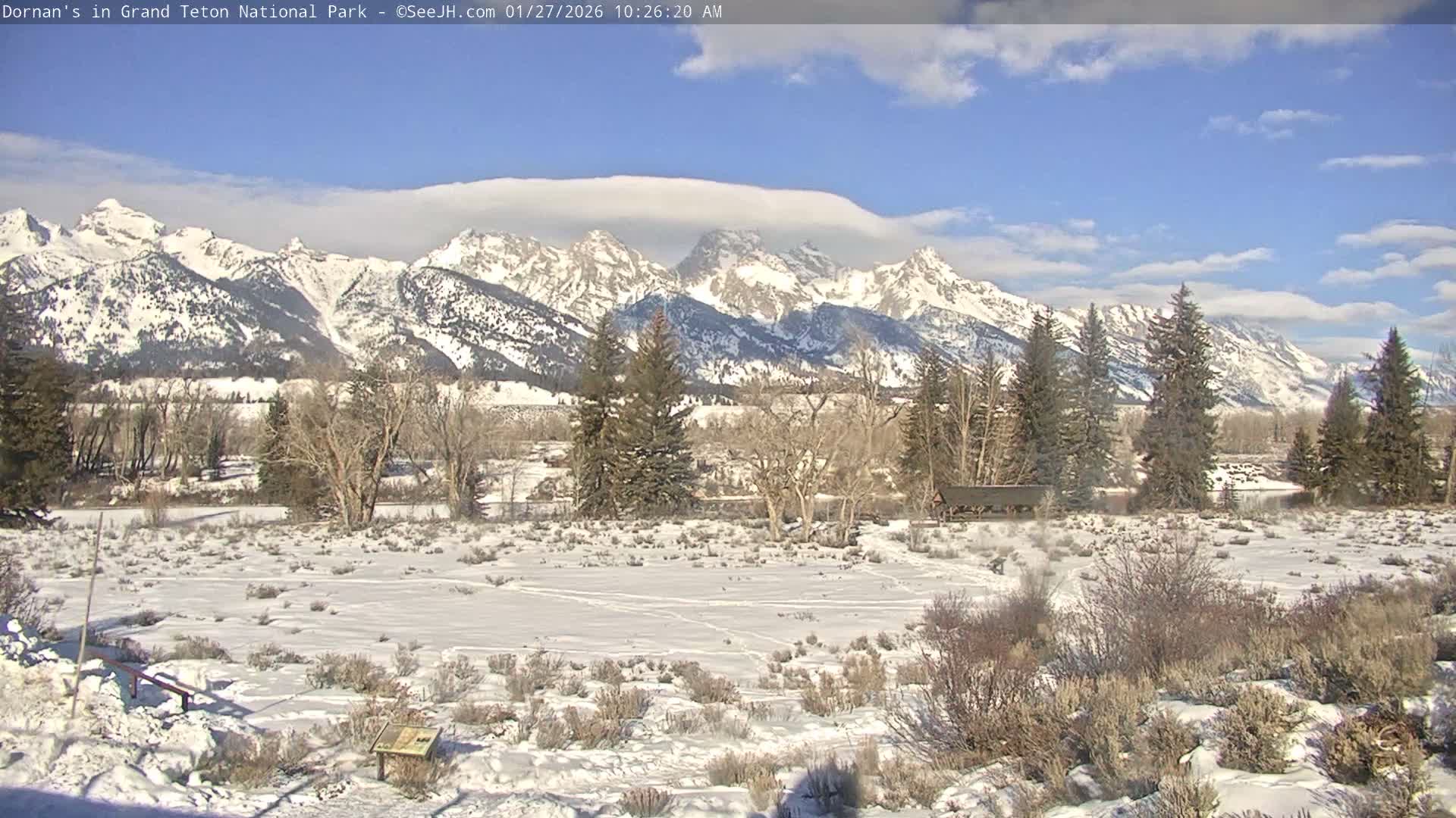 Grand Teton National Park  Live Cam - Moose, Teton, Wyoming, USA