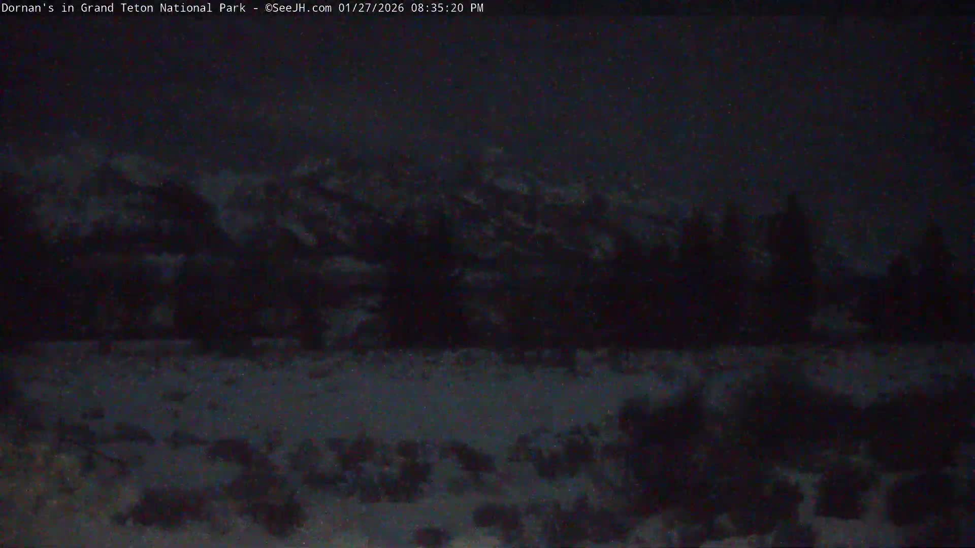 Grand Teton National Park  Live Cam - Moose, Teton, Wyoming, USA