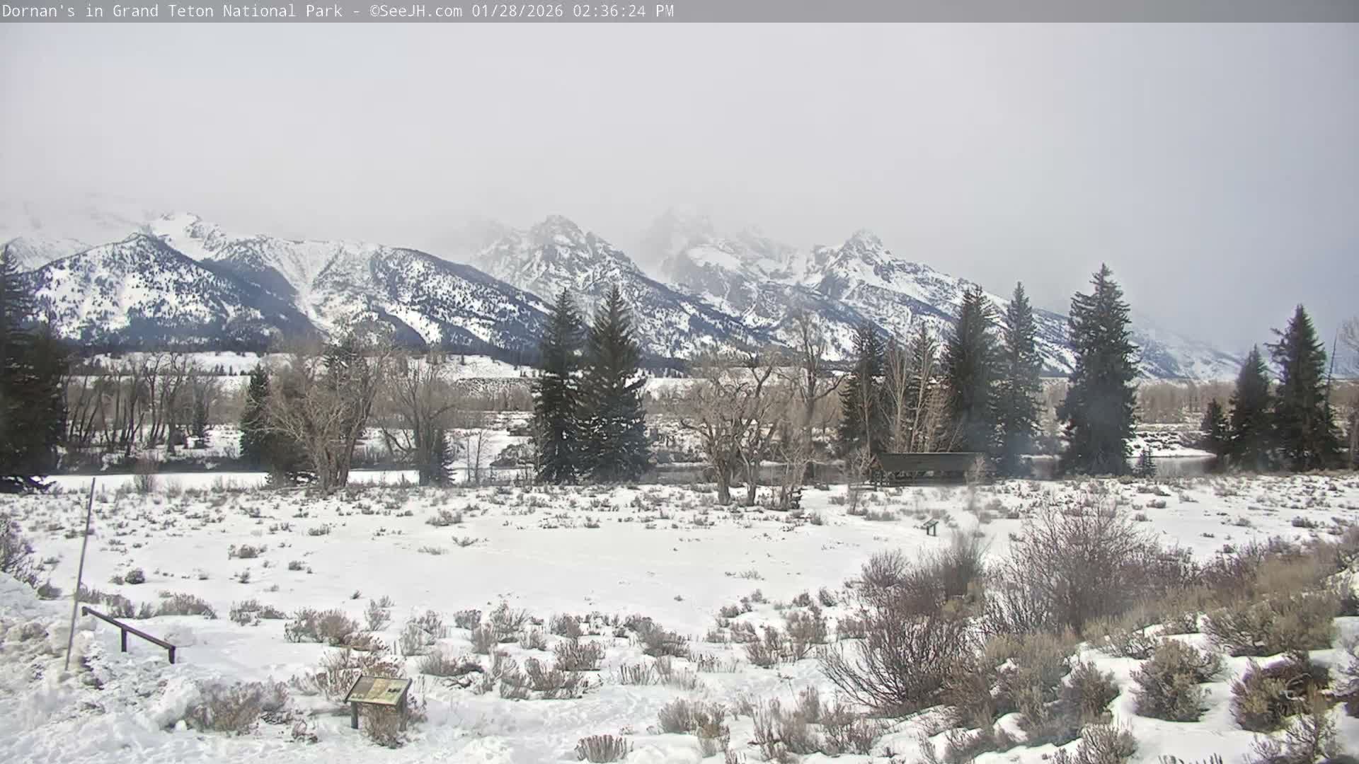 Grand Teton National Park  Live Cam - Moose, Teton, Wyoming, USA