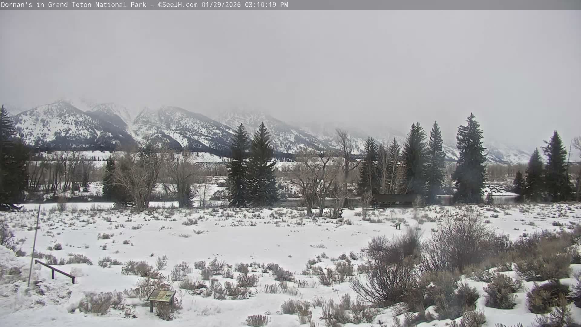 Grand Teton National Park  Live Cam - Moose, Teton, Wyoming, USA