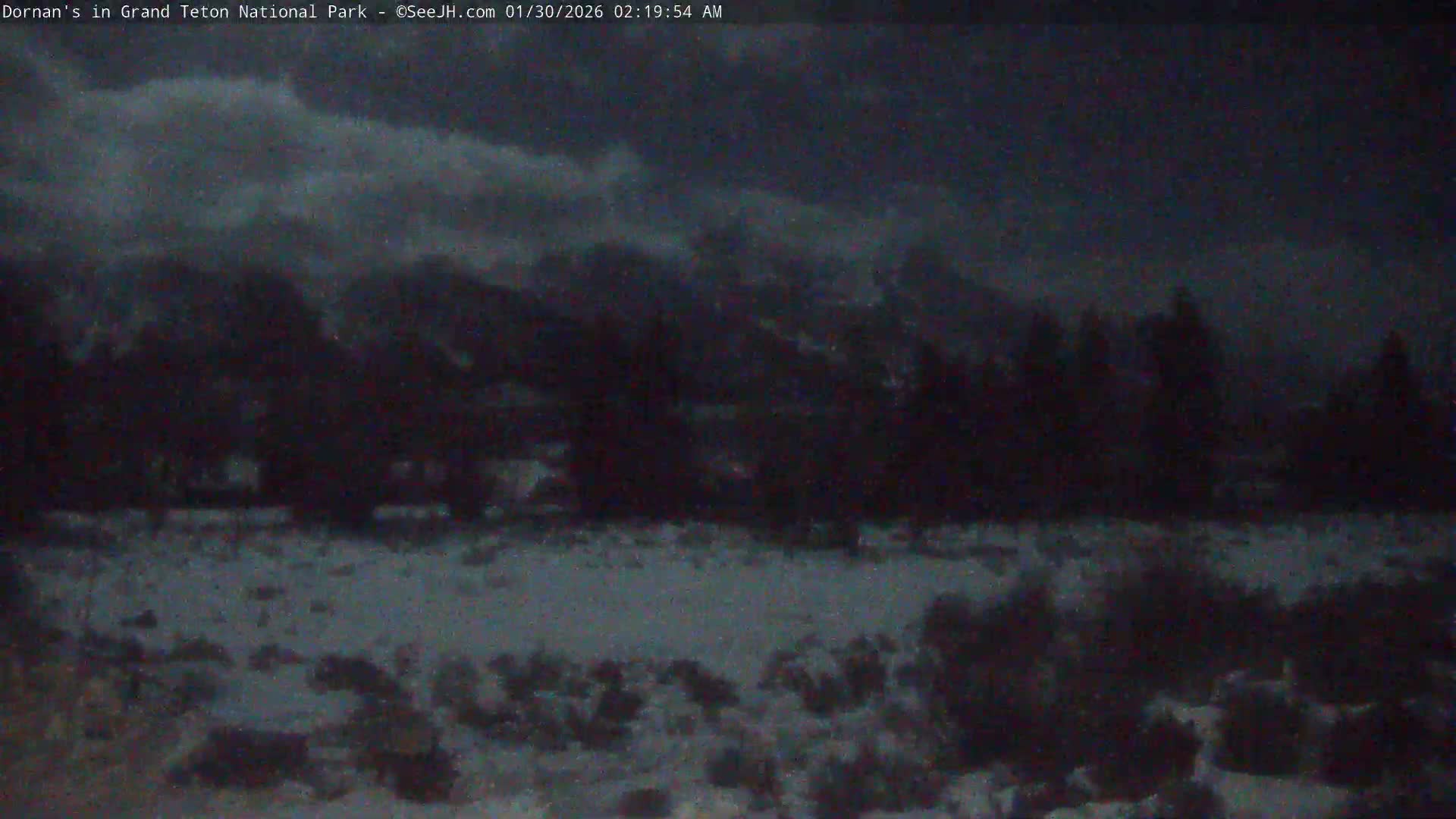 Grand Teton National Park  Live Cam - Moose, Teton, Wyoming, USA