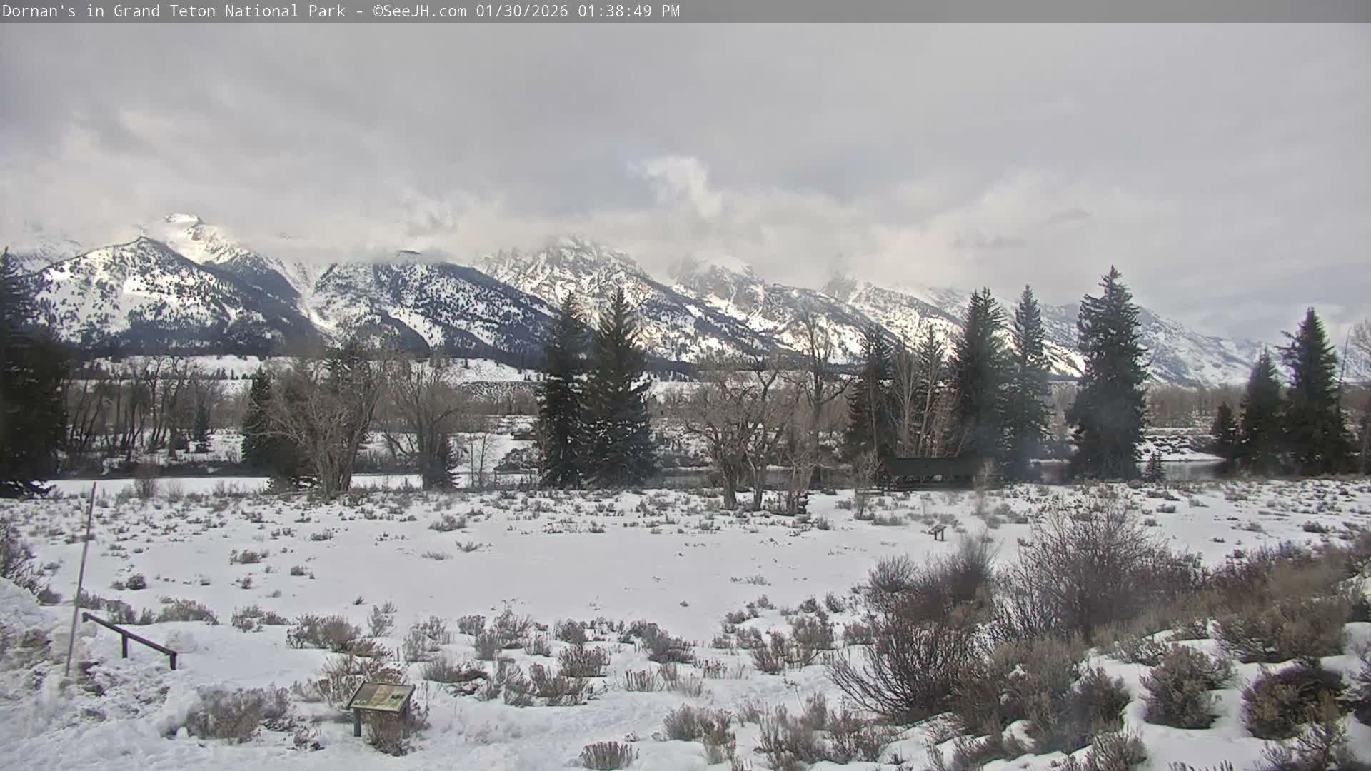 Grand Teton National Park  Live Cam - Moose, Teton, Wyoming, USA