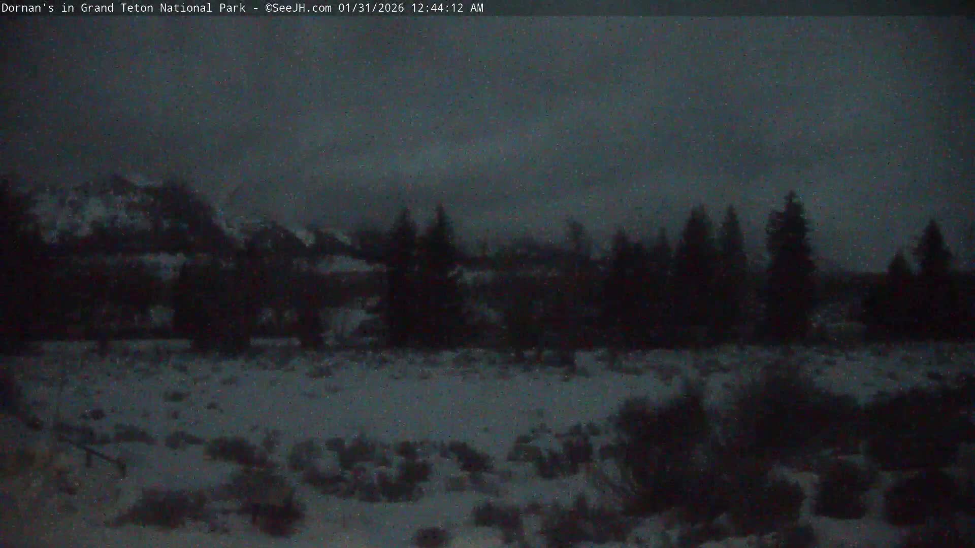 Grand Teton National Park  Live Cam - Moose, Teton, Wyoming, USA