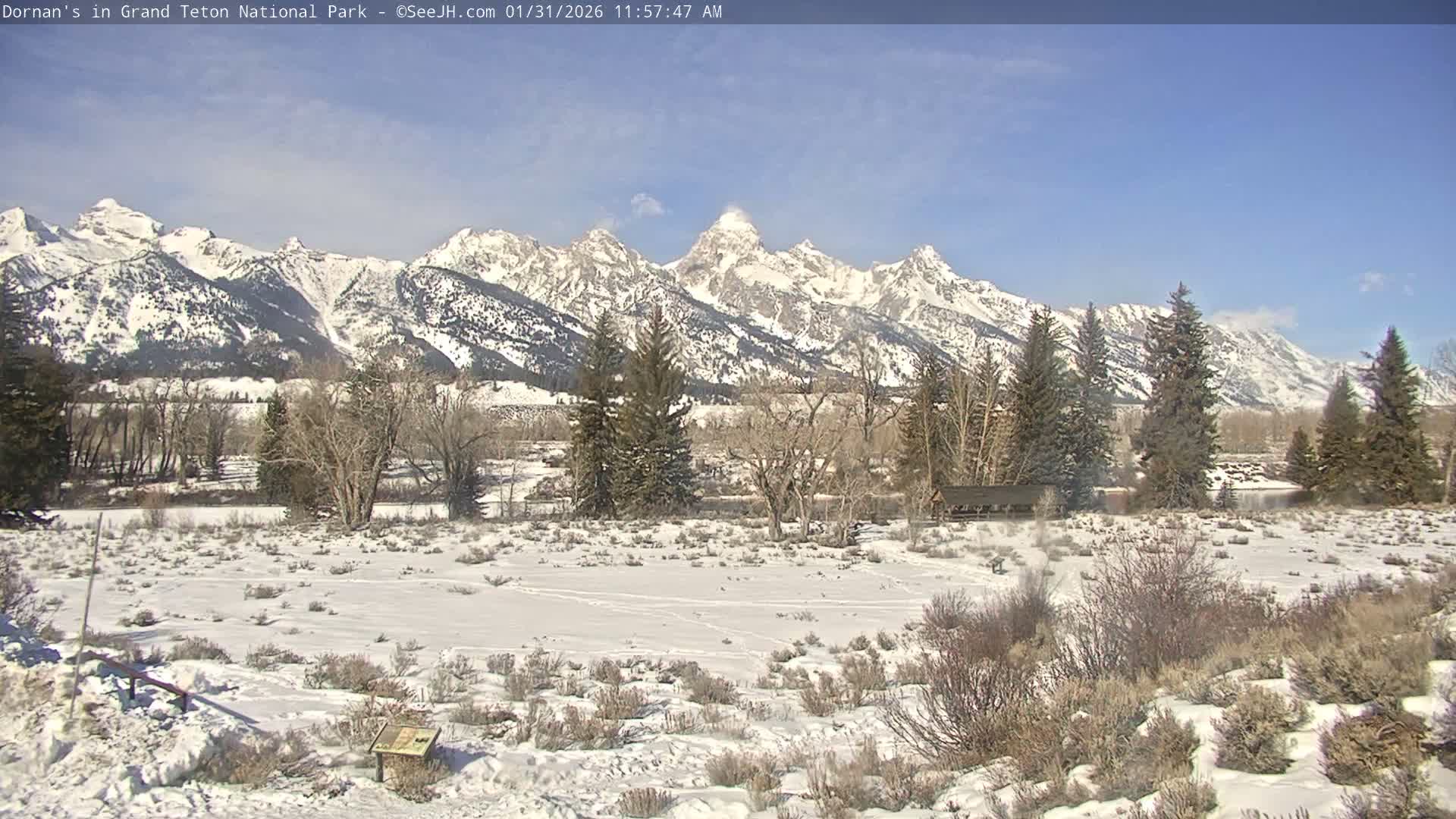 Grand Teton National Park  Live Cam - Moose, Teton, Wyoming, USA