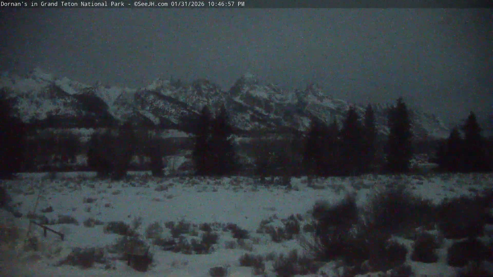 Grand Teton National Park  Live Cam - Moose, Teton, Wyoming, USA