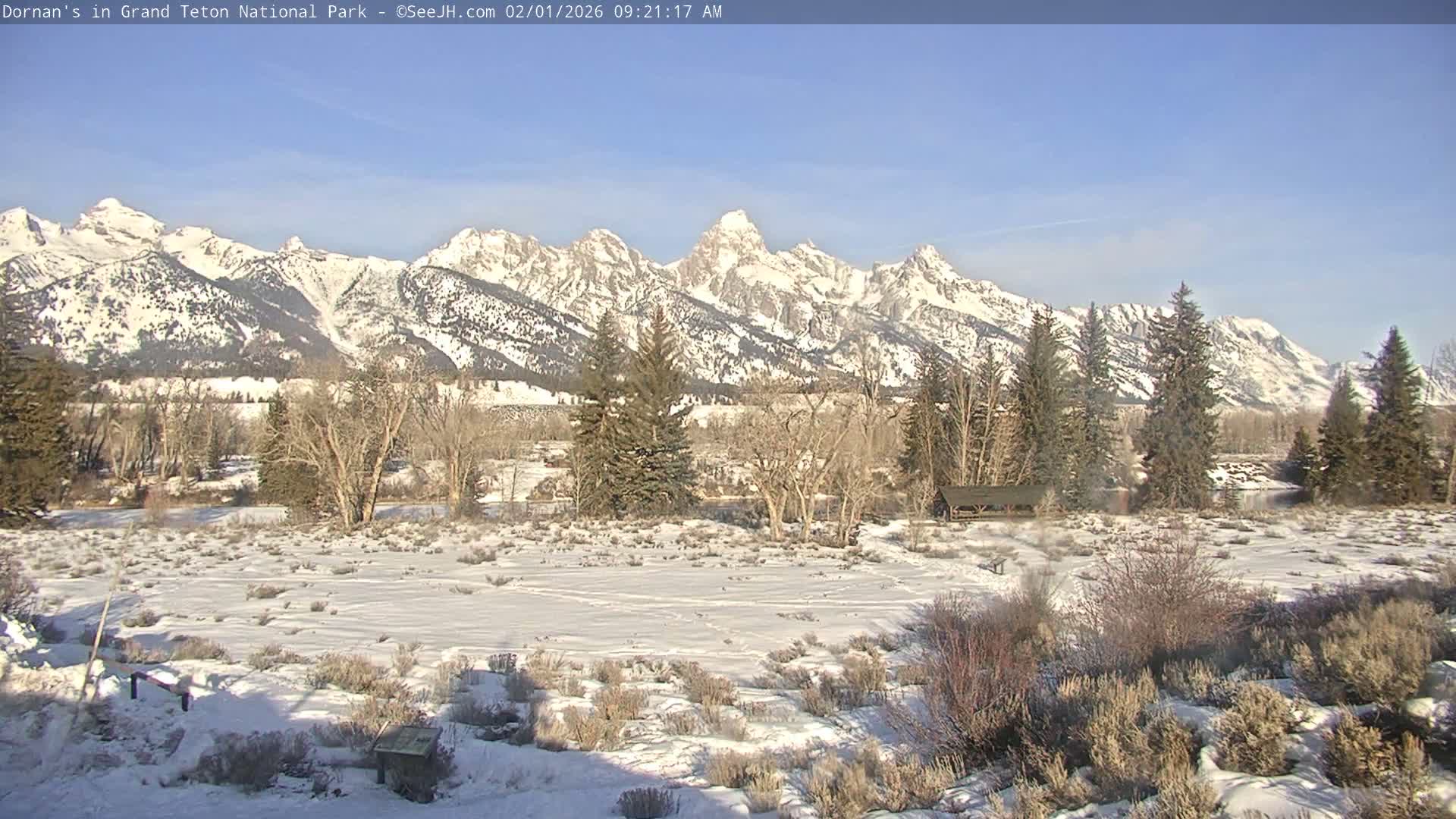 Grand Teton National Park  Live Cam - Moose, Teton, Wyoming, USA