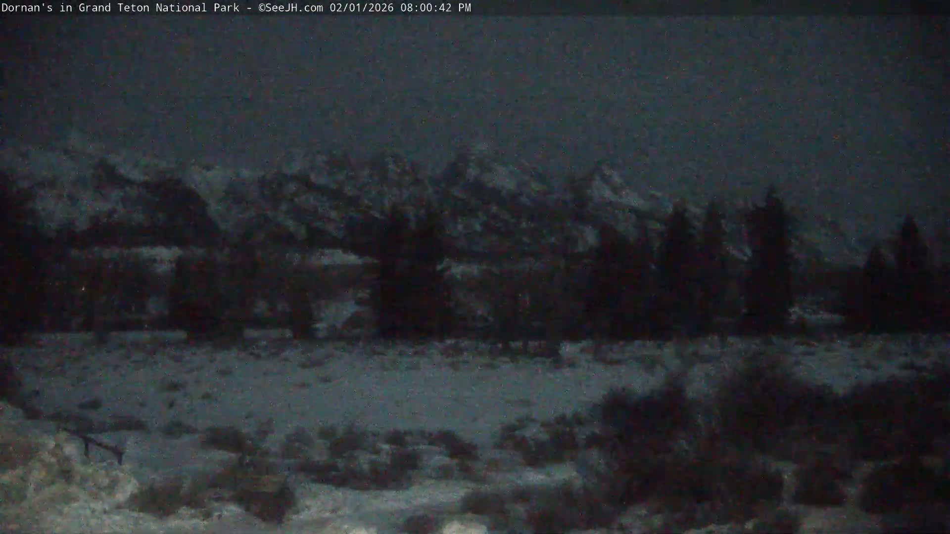 Grand Teton National Park  Live Cam - Moose, Teton, Wyoming, USA