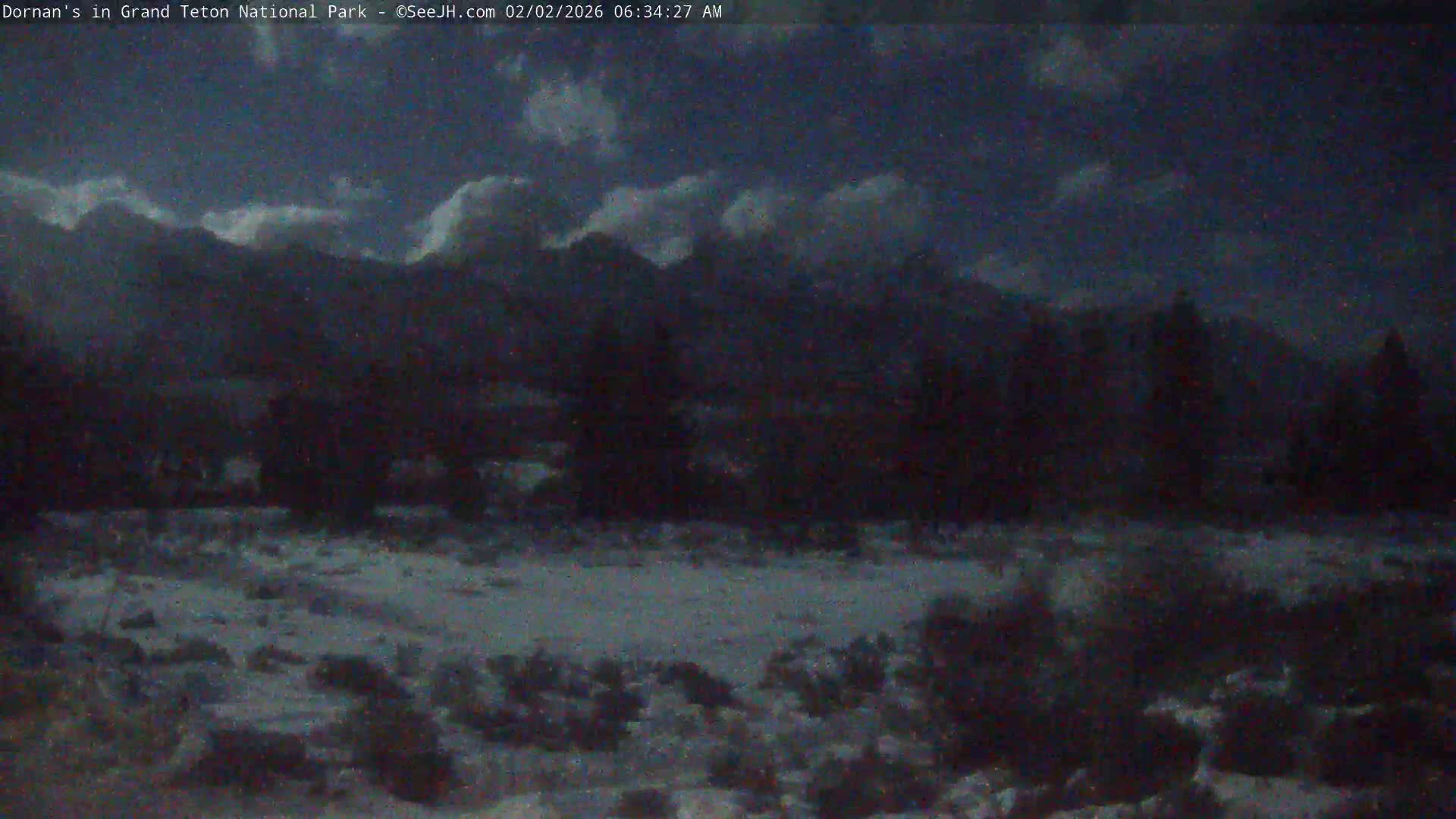 Grand Teton National Park  Live Cam - Moose, Teton, Wyoming, USA