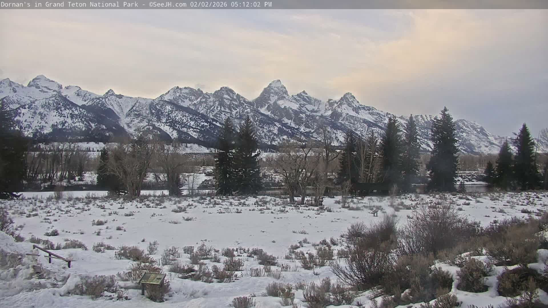 Grand Teton National Park  Live Cam - Moose, Teton, Wyoming, USA