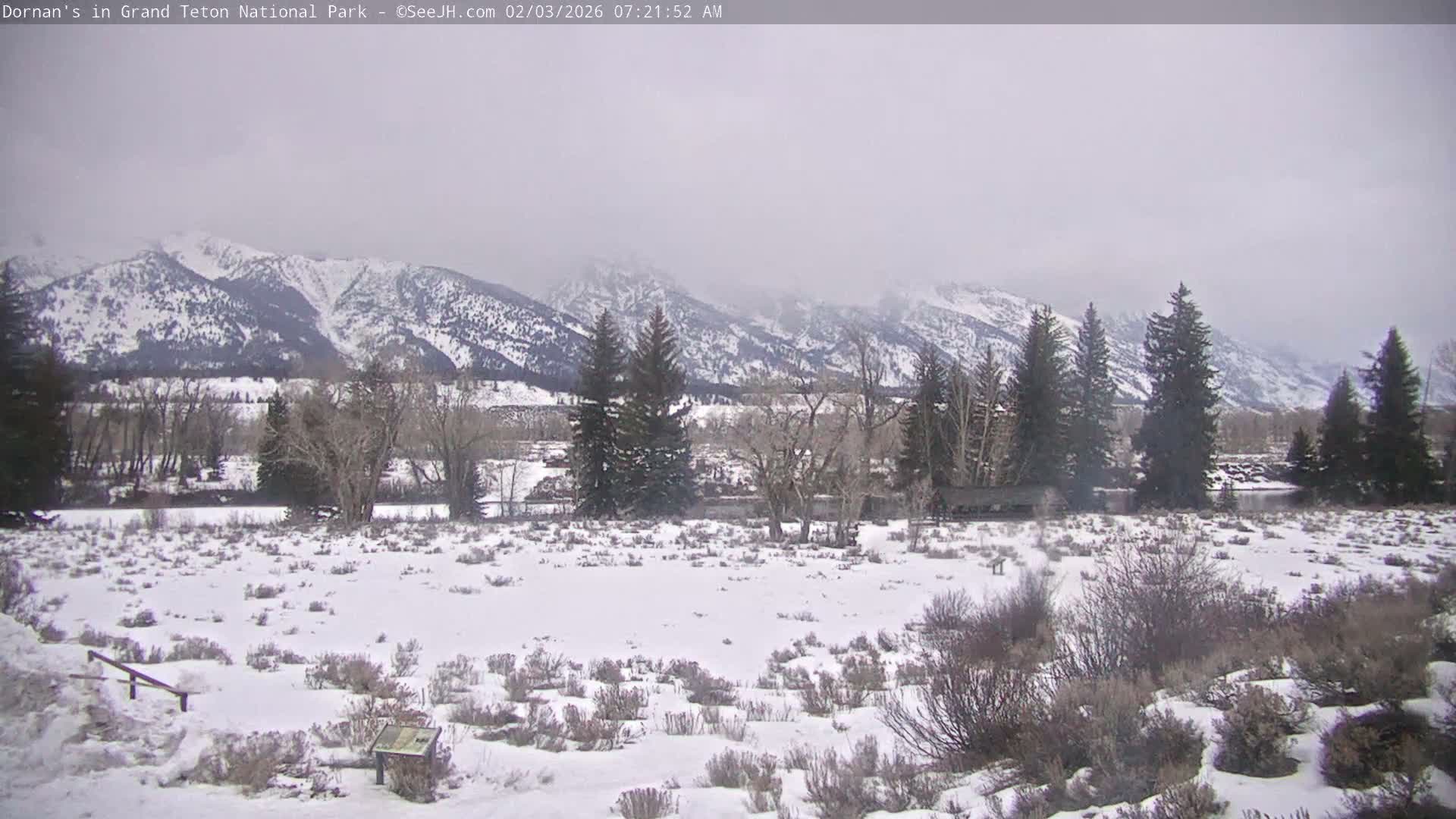 Grand Teton National Park  Live Cam - Moose, Teton, Wyoming, USA