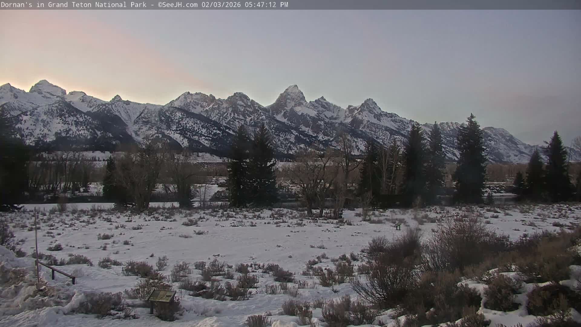 Grand Teton National Park  Live Cam - Moose, Teton, Wyoming, USA