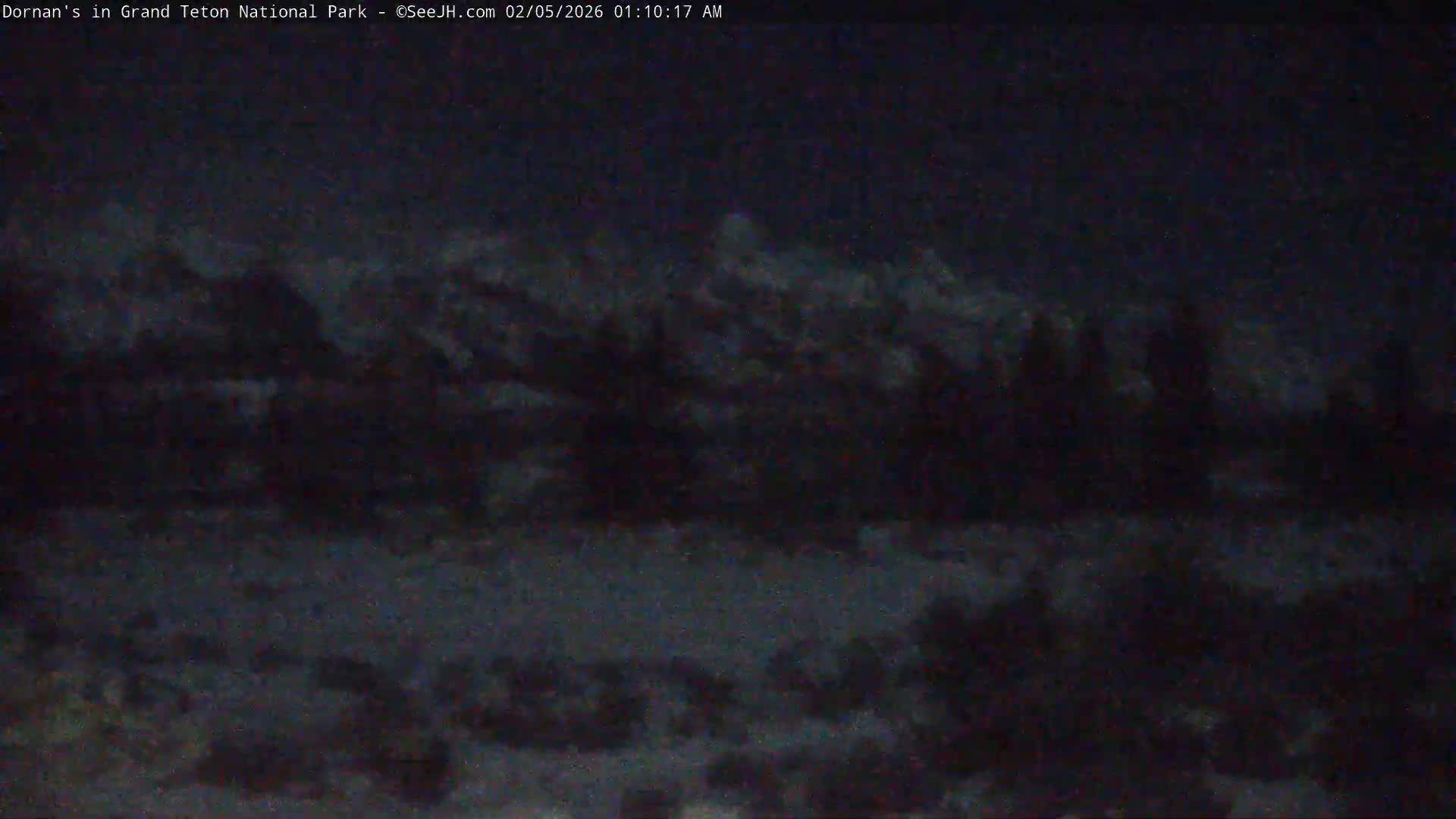 Grand Teton National Park  Live Cam - Moose, Teton, Wyoming, USA