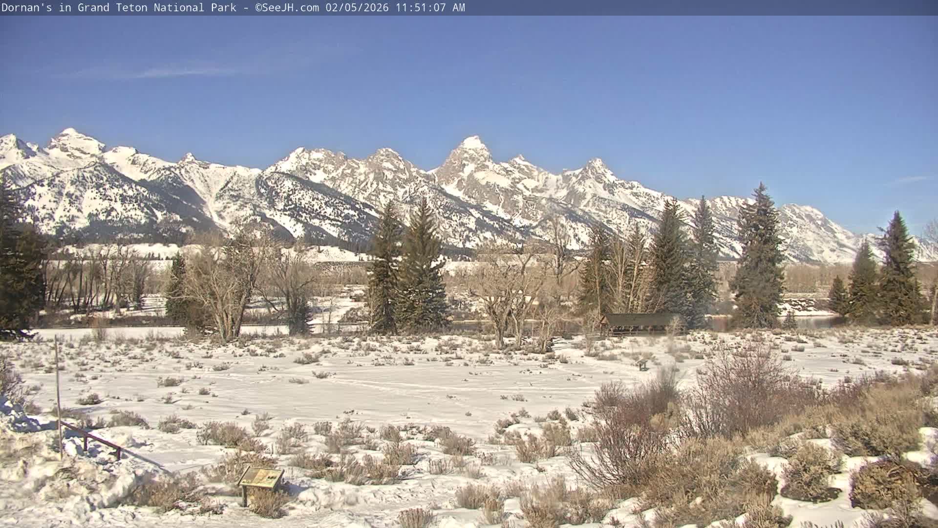 Grand Teton National Park  Live Cam - Moose, Teton, Wyoming, USA