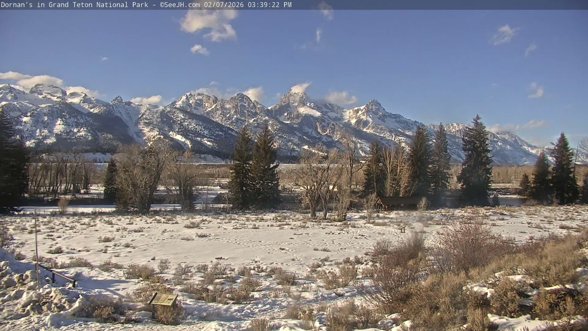 Grand Teton National Park  Live Cam - Moose, Teton, Wyoming, USA