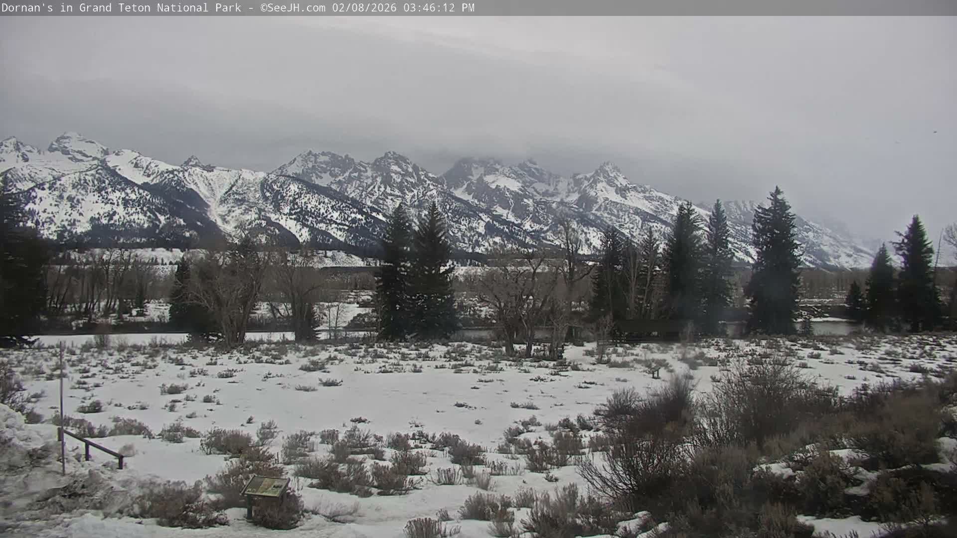 Grand Teton National Park  Live Cam - Moose, Teton, Wyoming, USA