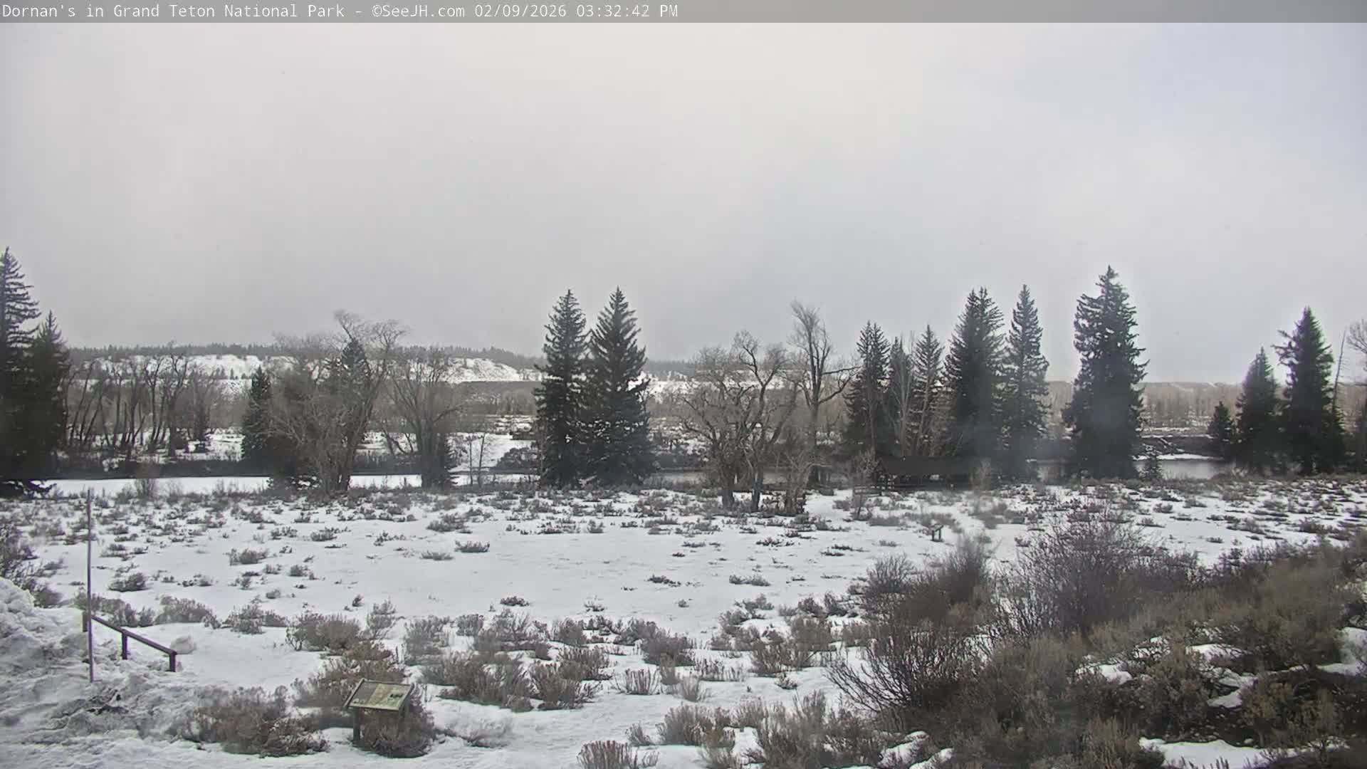 Grand Teton National Park  Live Cam - Moose, Teton, Wyoming, USA