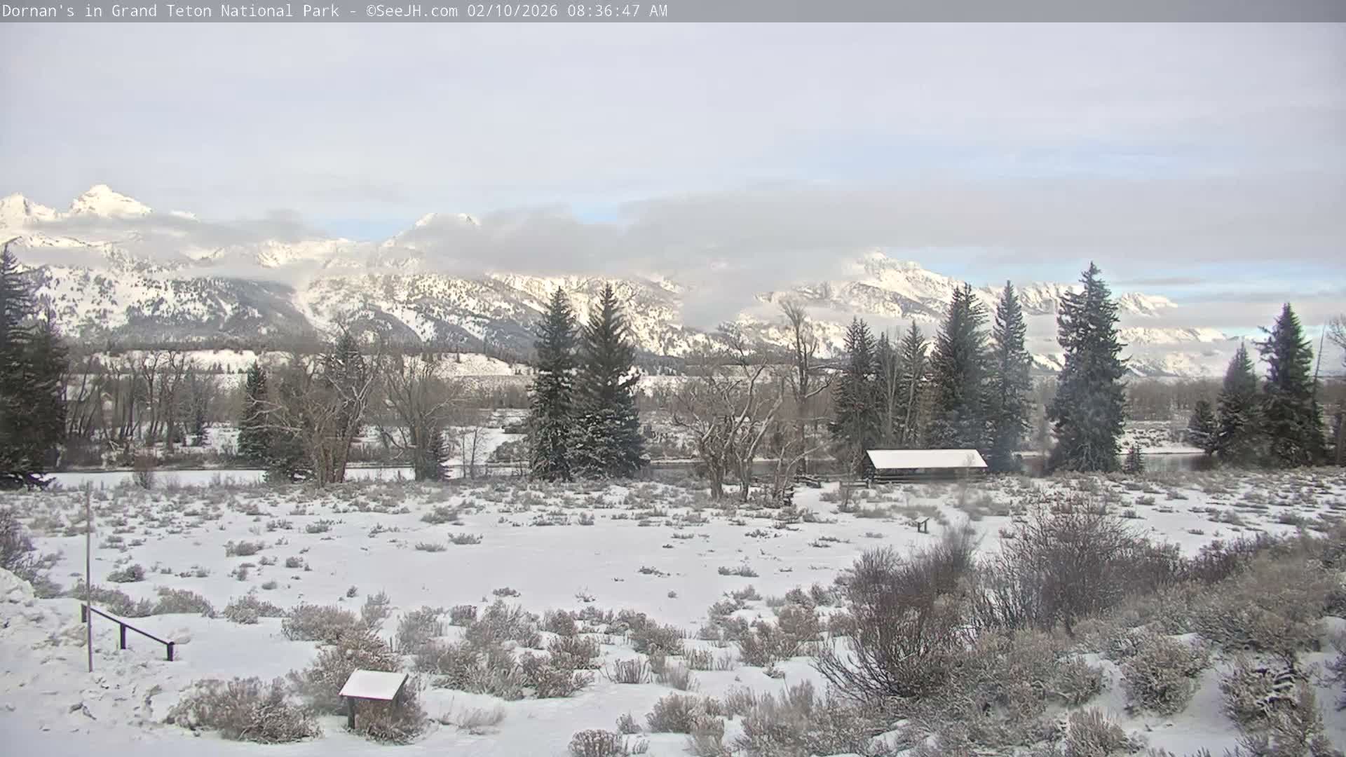 Grand Teton National Park  Live Cam - Moose, Teton, Wyoming, USA