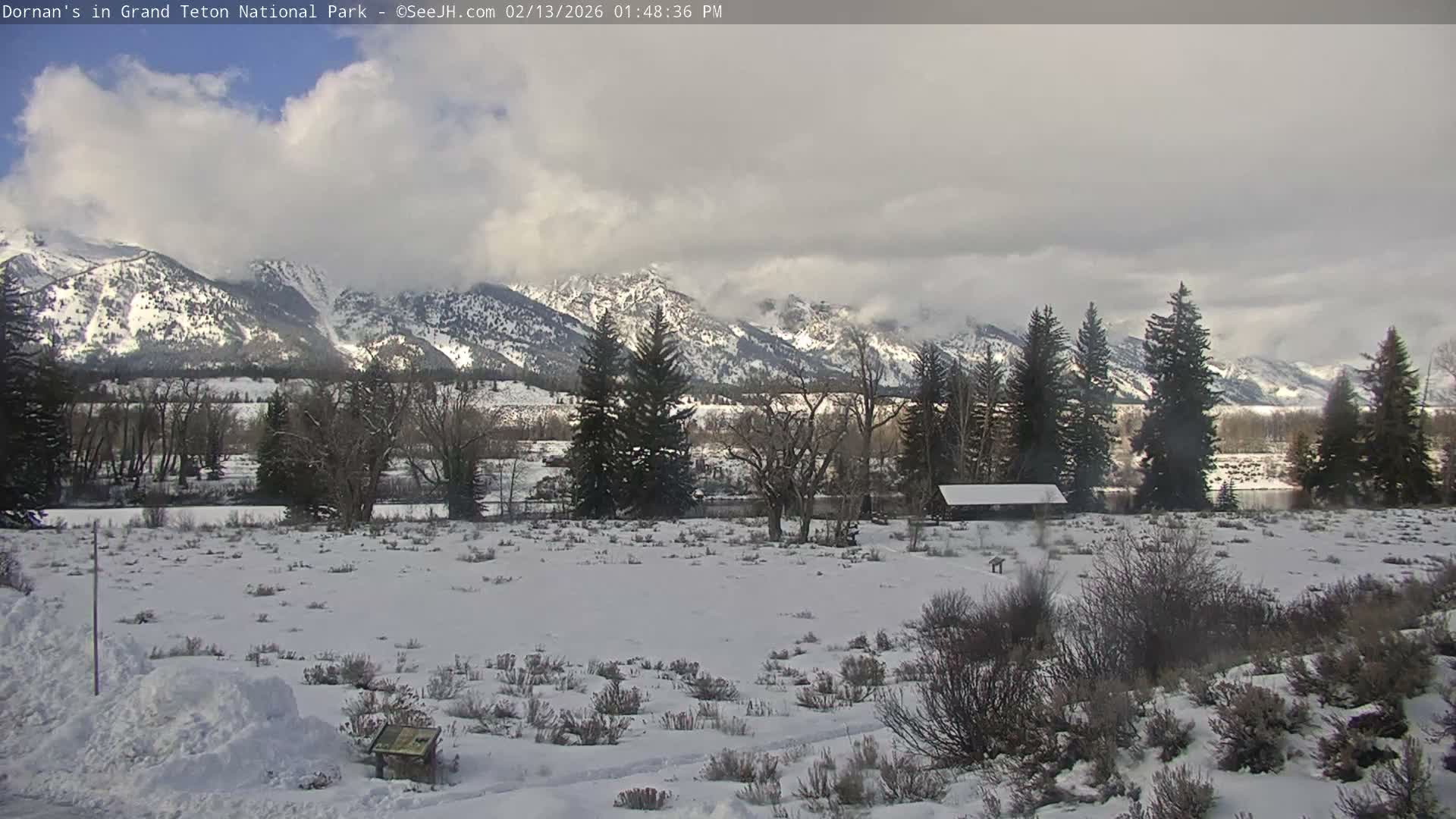 Grand Teton National Park  Live Cam - Moose, Teton, Wyoming, USA