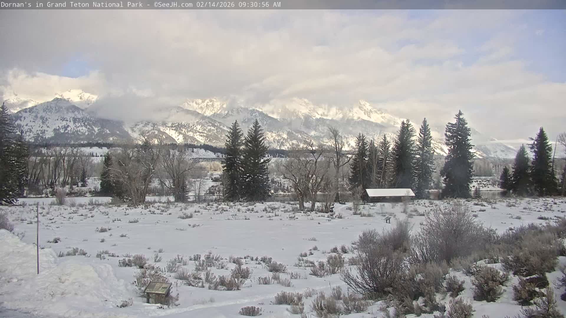 Grand Teton National Park  Live Cam - Moose, Teton, Wyoming, USA