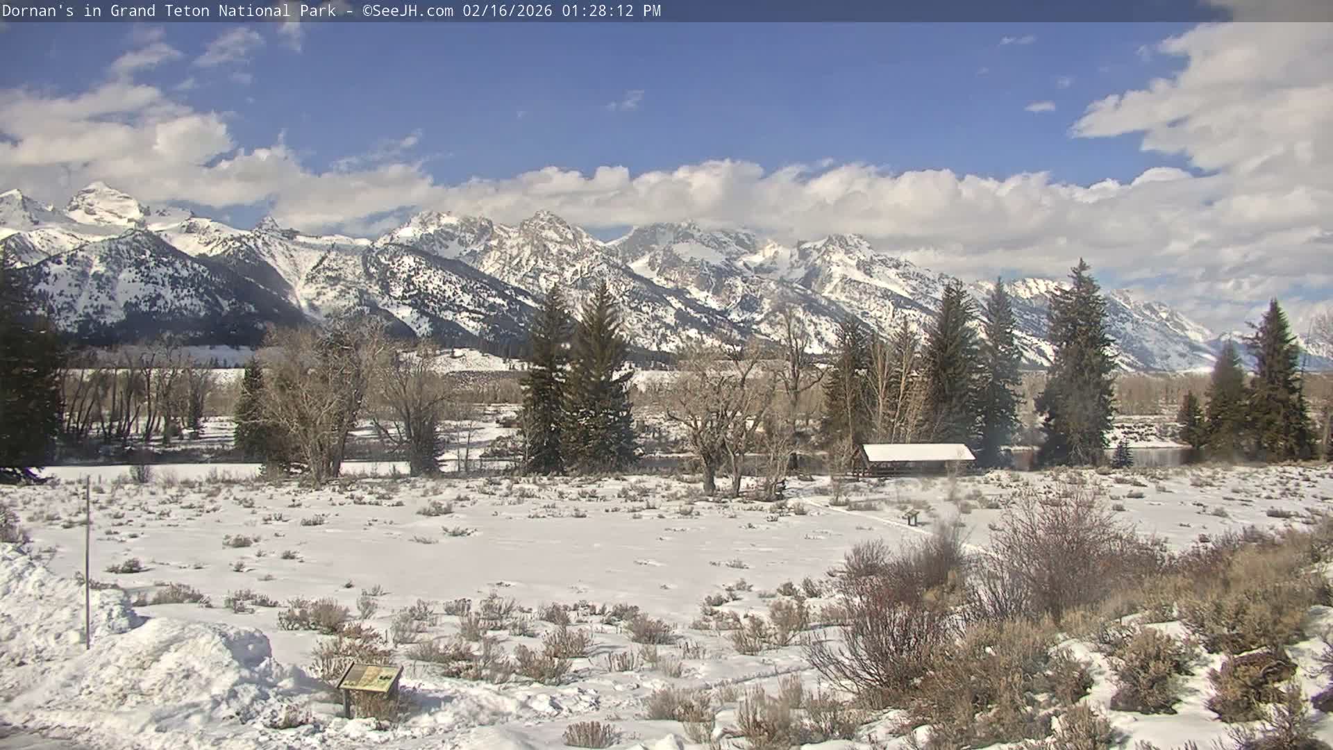Grand Teton National Park  Live Cam - Moose, Teton, Wyoming, USA
