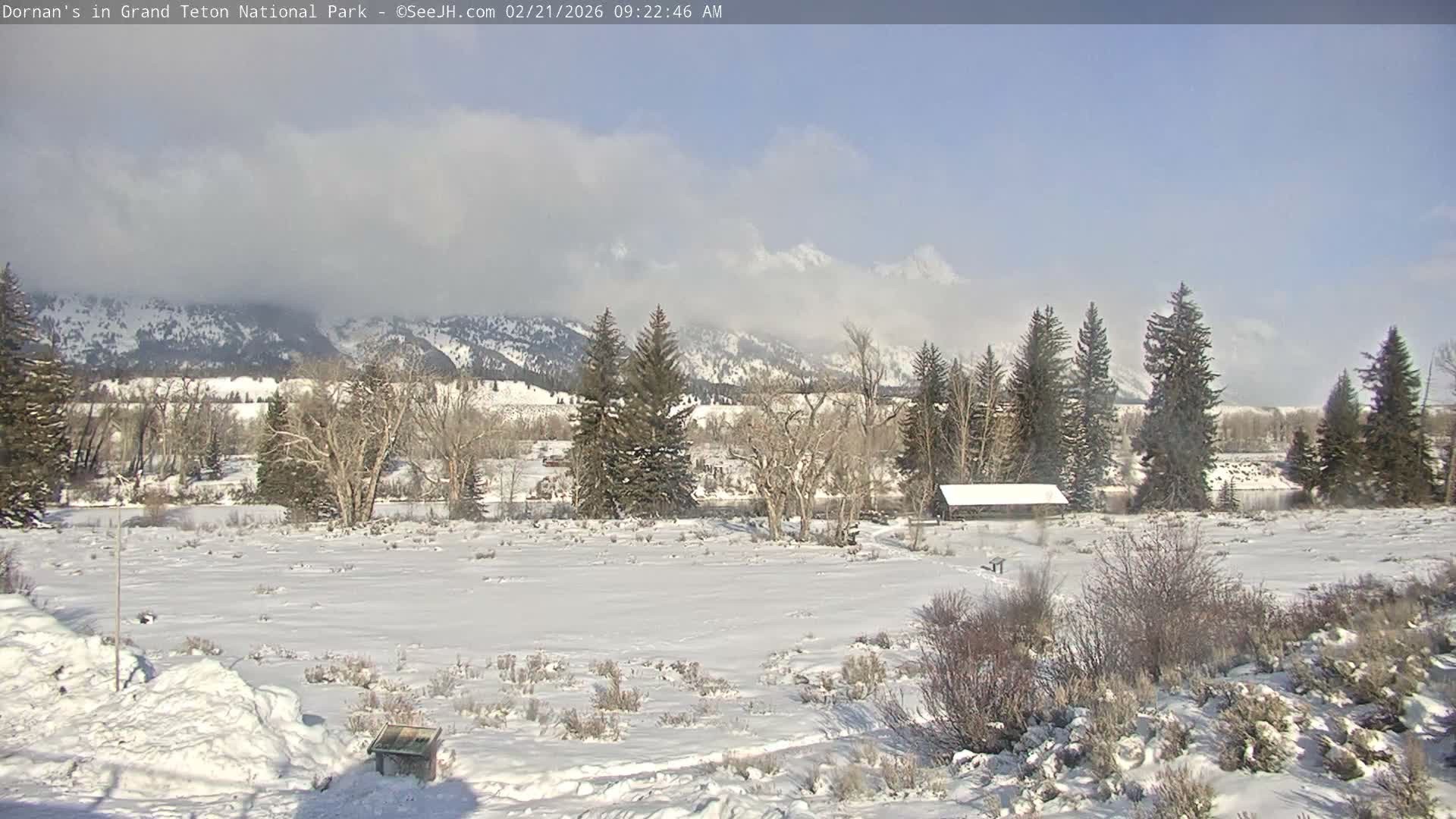 Grand Teton National Park  Live Cam - Moose, Teton, Wyoming, USA