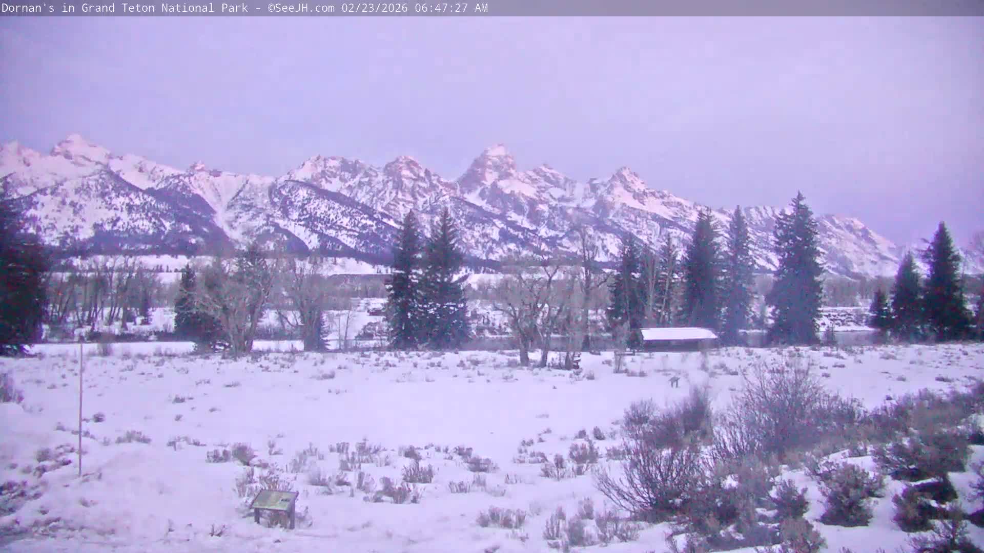 Grand Teton National Park  Live Cam - Moose, Teton, Wyoming, USA