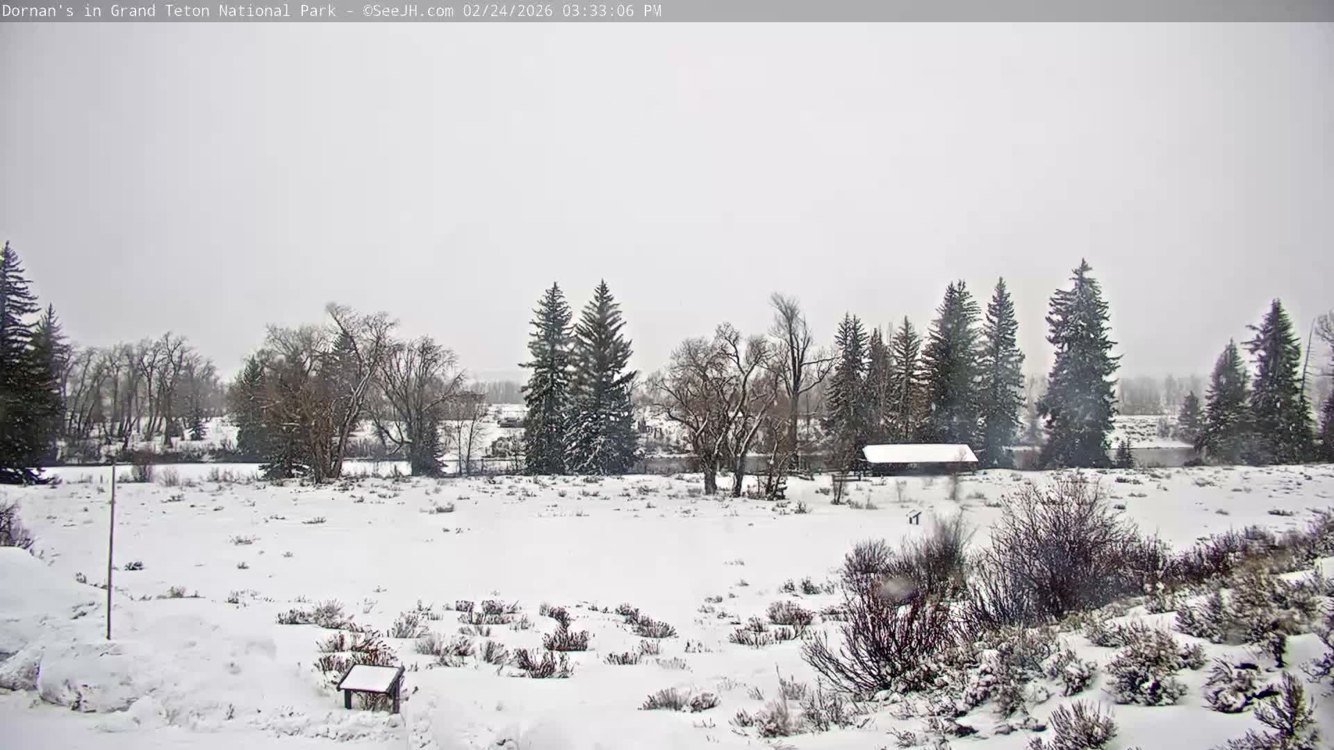 Grand Teton National Park  Live Cam - Moose, Teton, Wyoming, USA