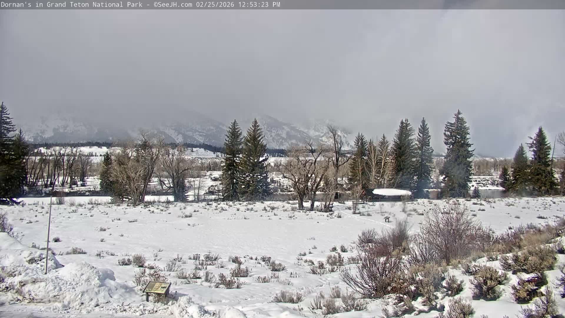 Grand Teton National Park  Live Cam - Moose, Teton, Wyoming, USA
