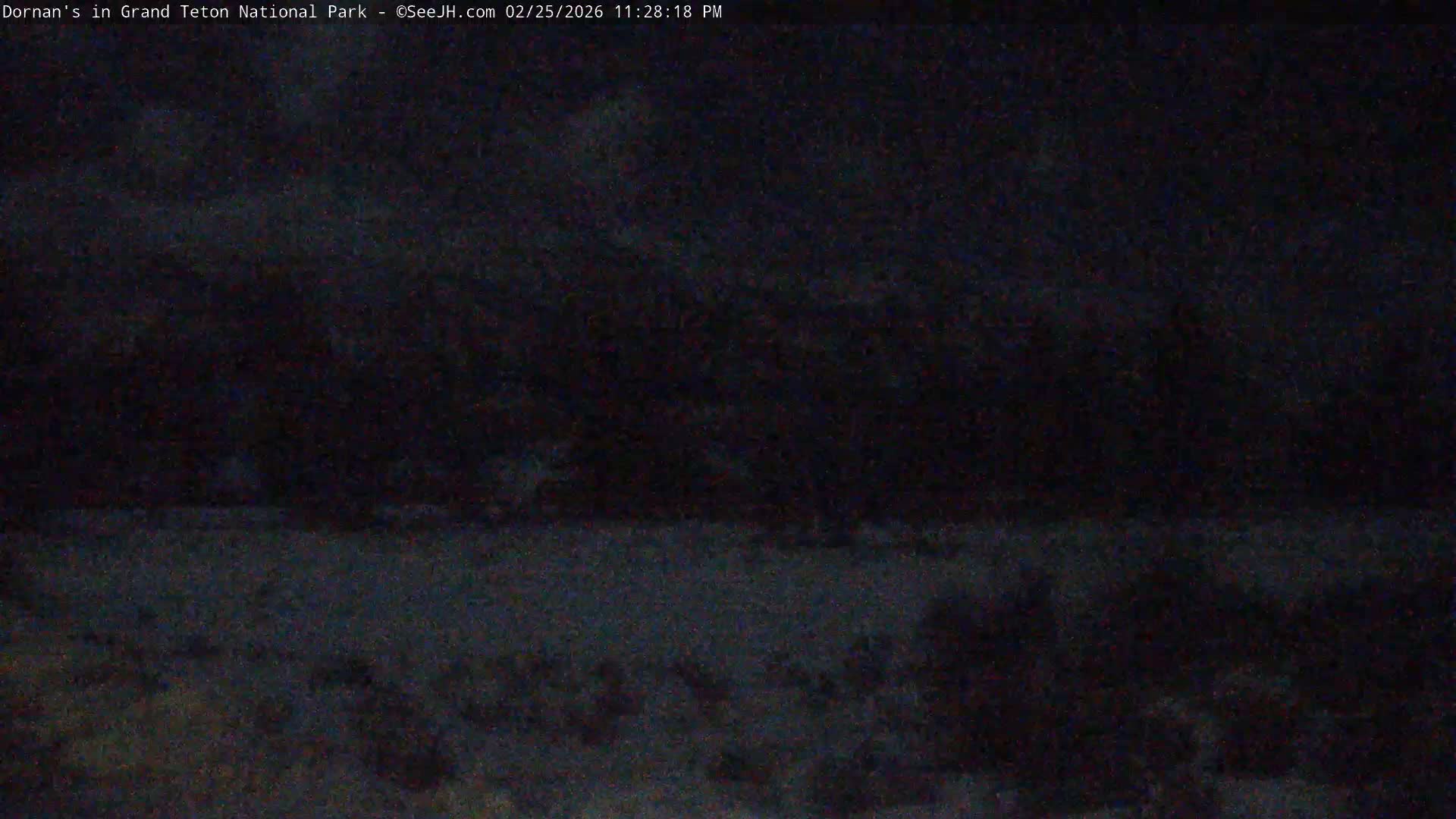 Grand Teton National Park  Live Cam - Moose, Teton, Wyoming, USA