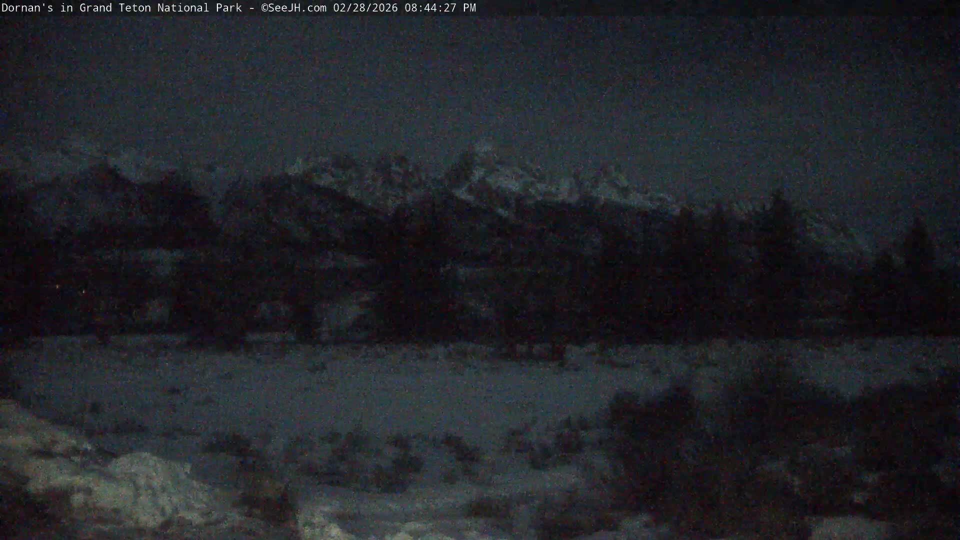 Grand Teton National Park  Live Cam - Moose, Teton, Wyoming, USA