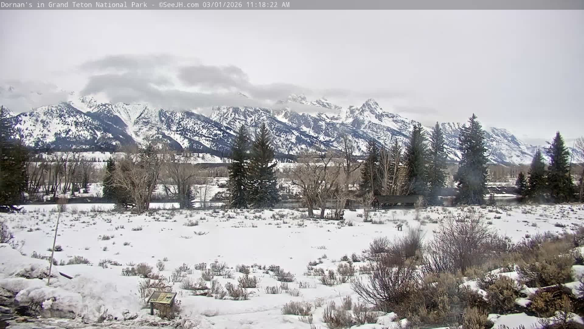 Grand Teton National Park  Live Cam - Moose, Teton, Wyoming, USA