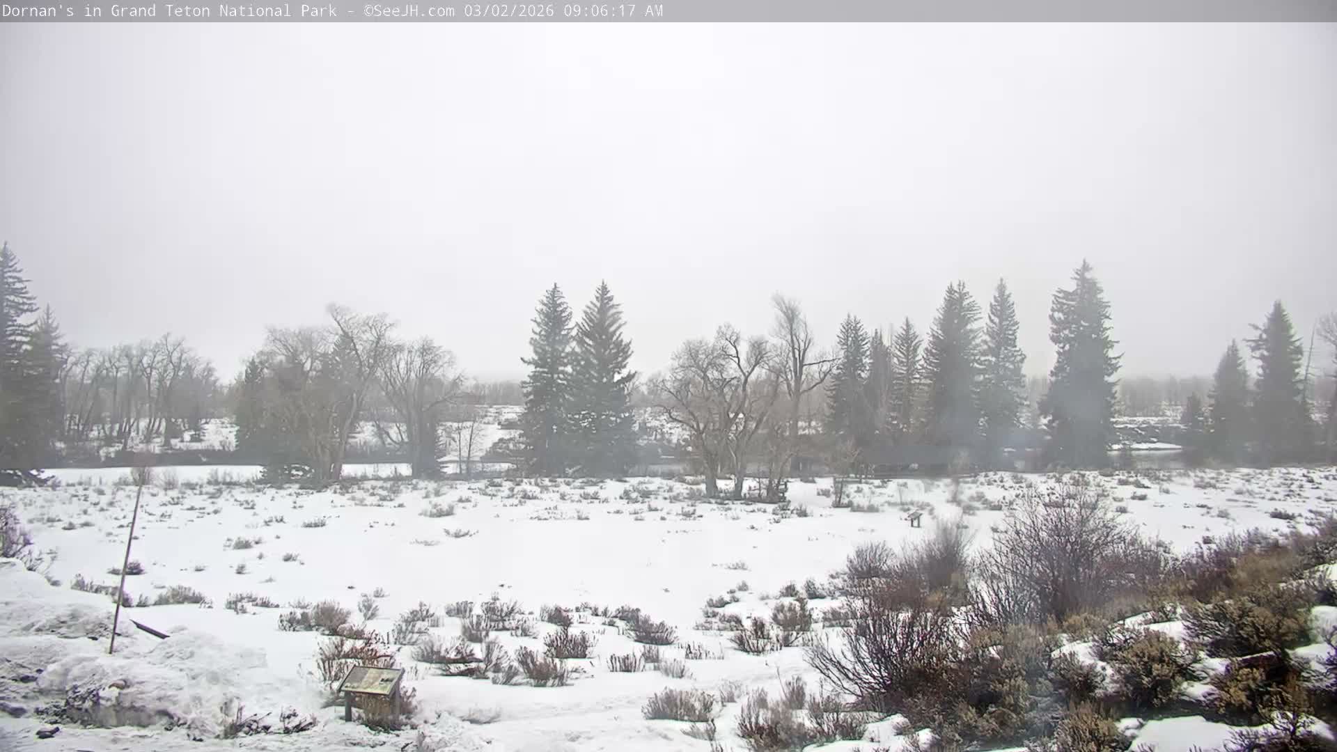 Grand Teton National Park  Live Cam - Moose, Teton, Wyoming, USA