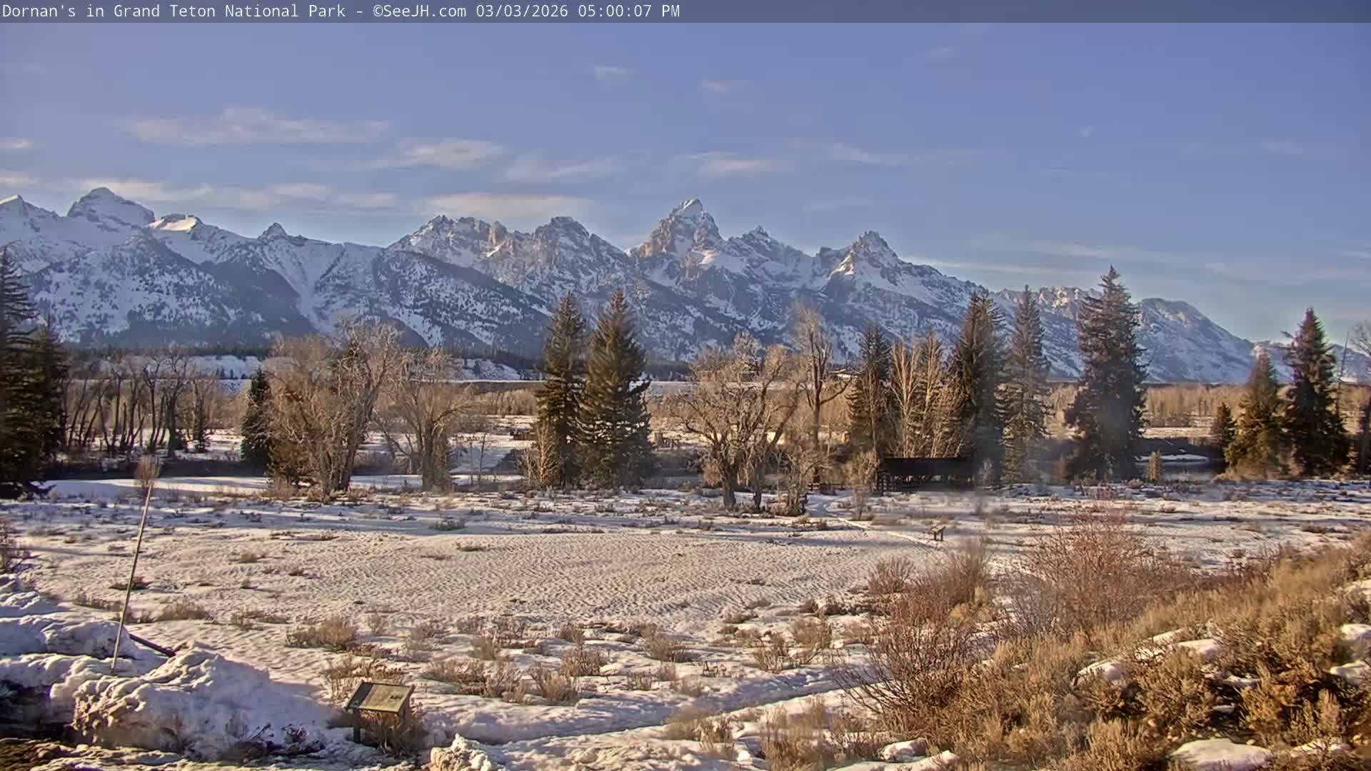 Grand Teton National Park  Live Cam - Moose, Teton, Wyoming, USA