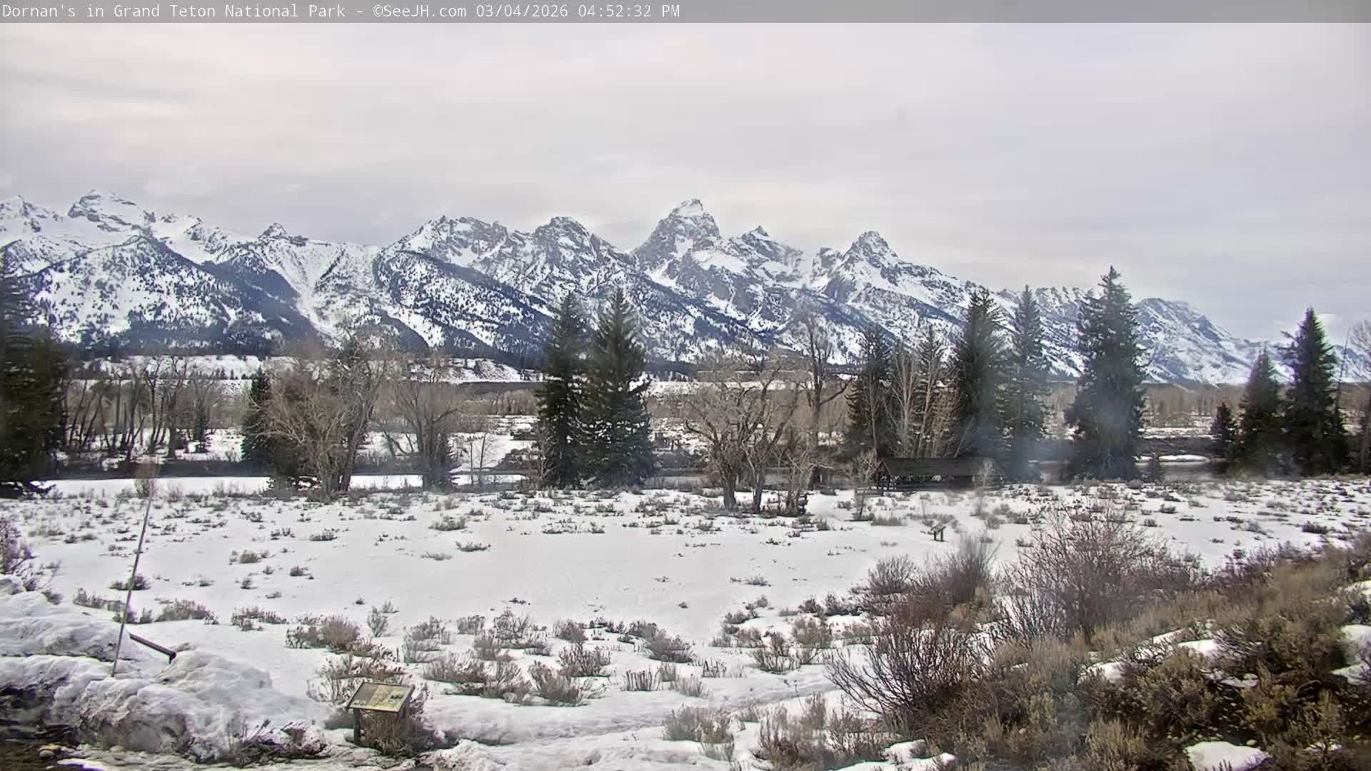 Grand Teton National Park  Live Cam - Moose, Teton, Wyoming, USA