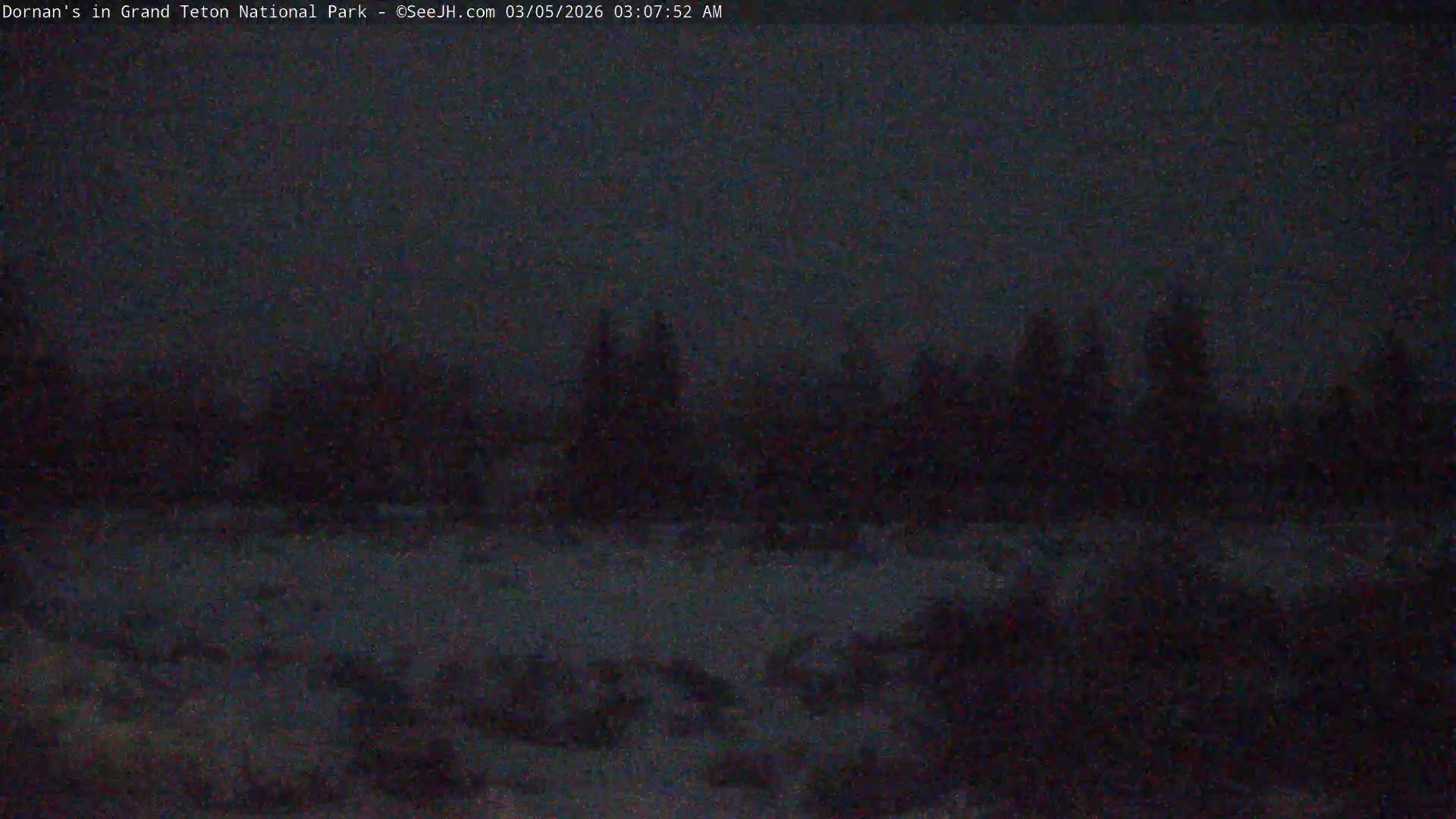 Grand Teton National Park  Live Cam - Moose, Teton, Wyoming, USA