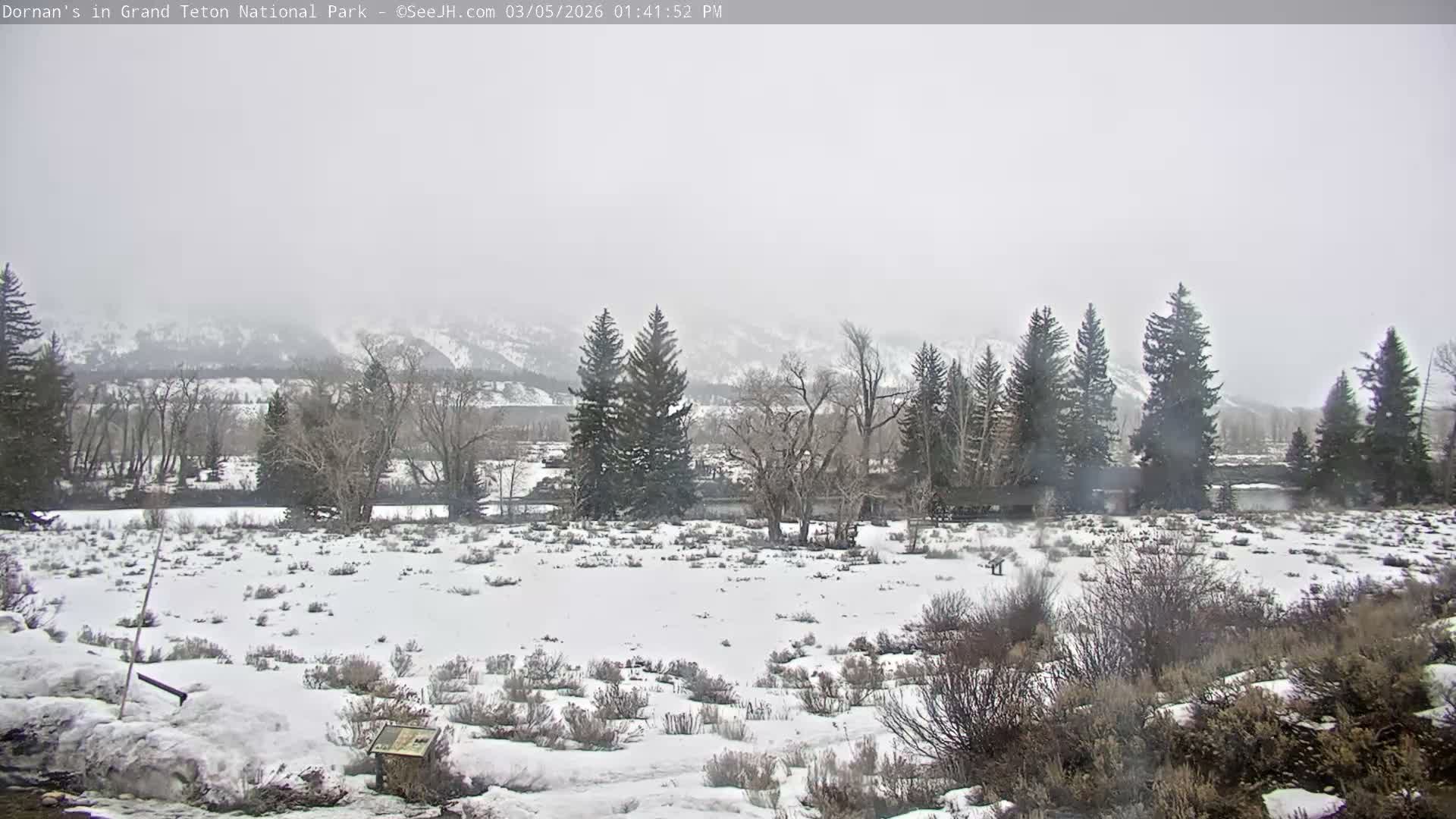 Grand Teton National Park  Live Cam - Moose, Teton, Wyoming, USA