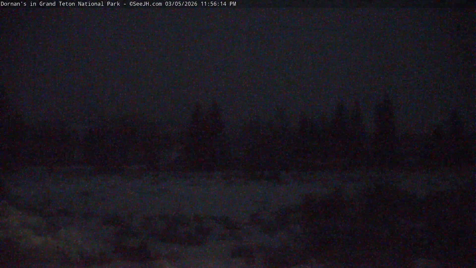 Grand Teton National Park  Live Cam - Moose, Teton, Wyoming, USA