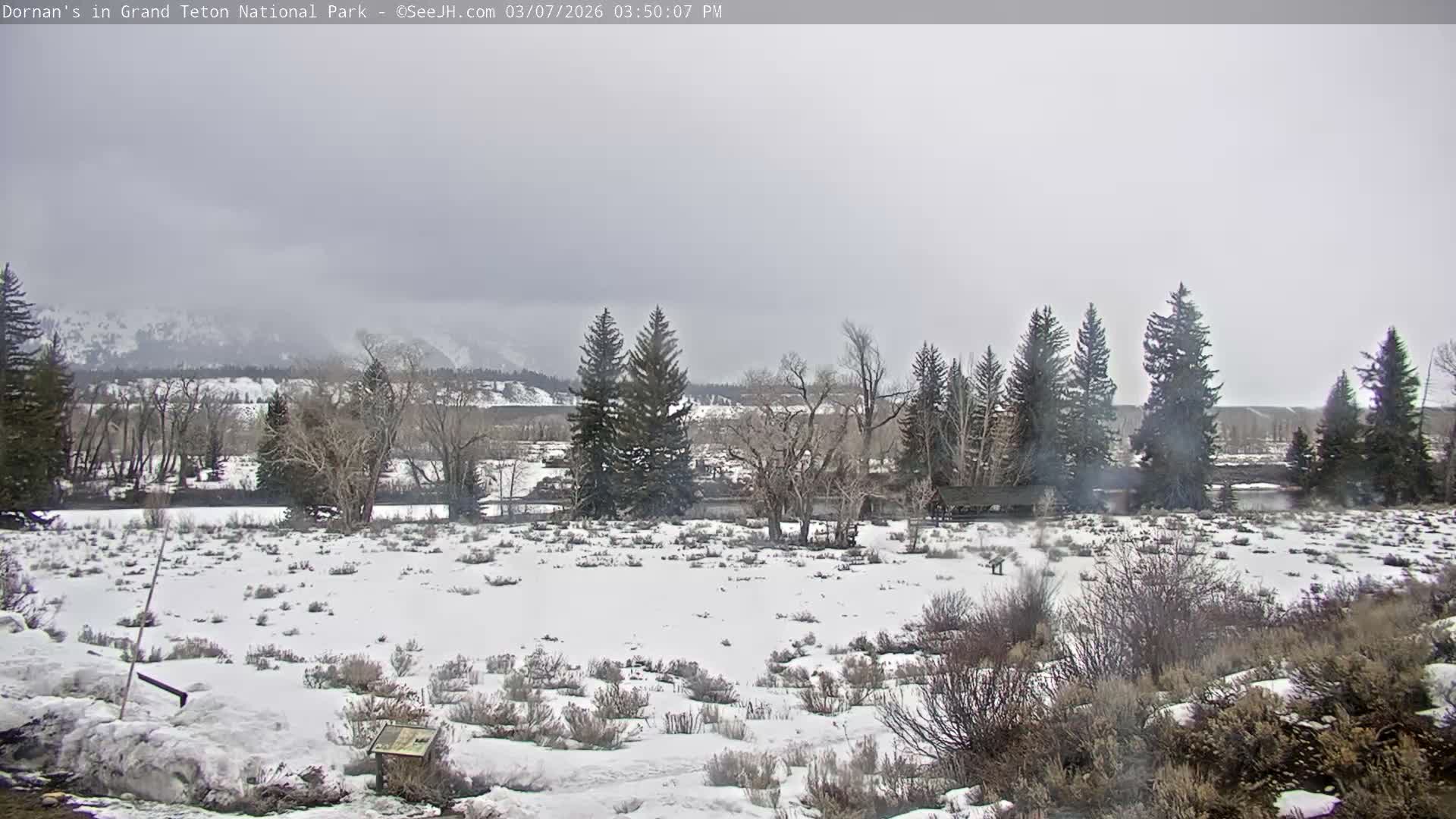 Grand Teton National Park  Live Cam - Moose, Teton, Wyoming, USA