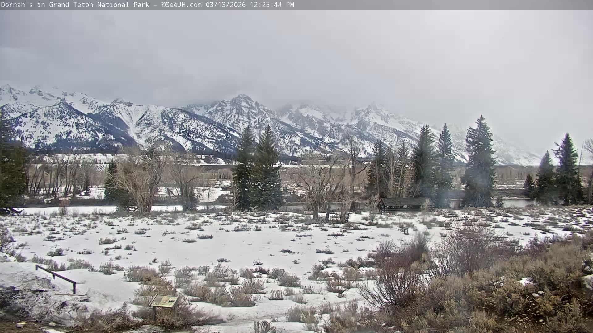 Grand Teton National Park  Live Cam - Moose, Teton, Wyoming, USA